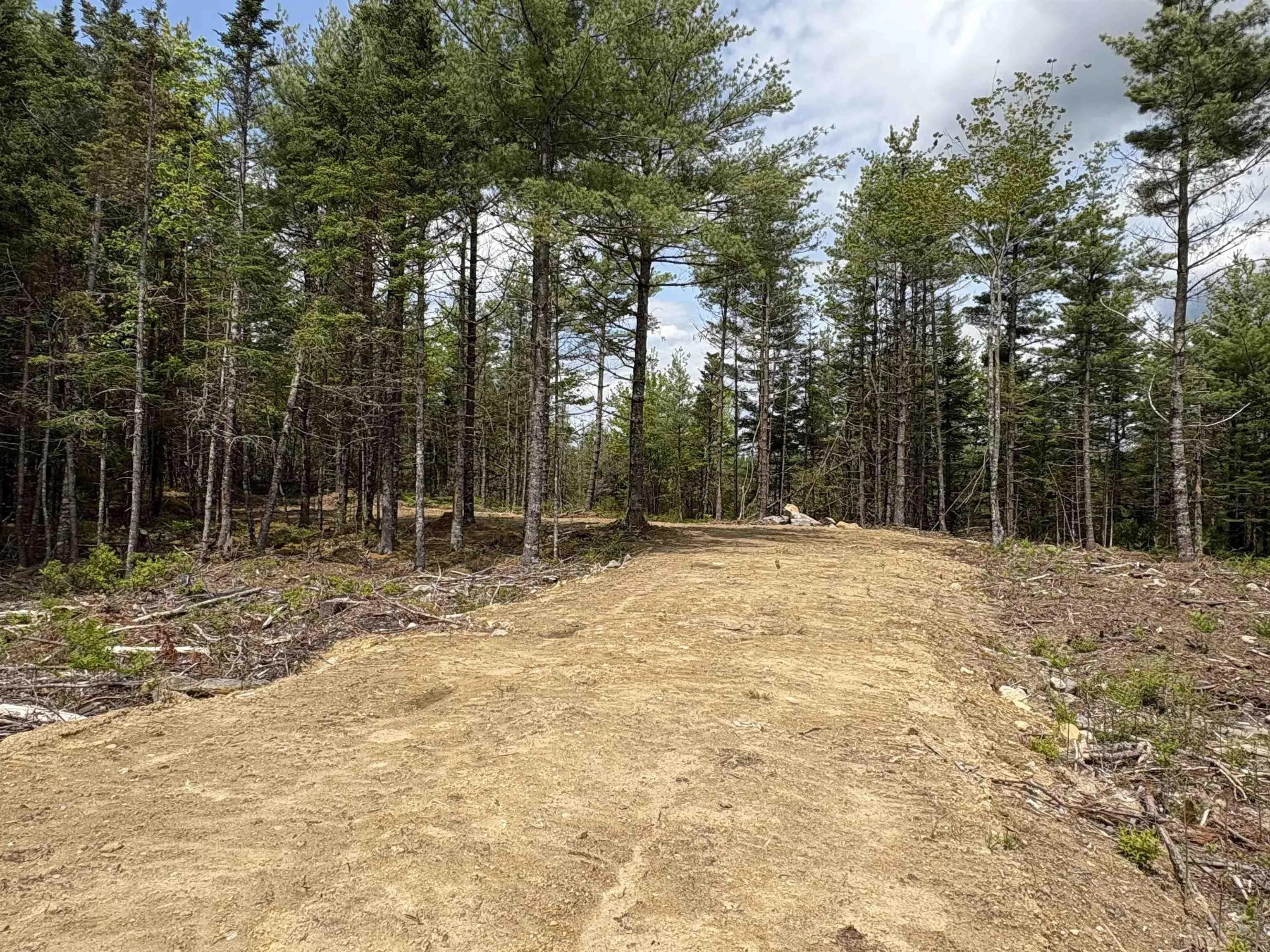 310 Welshtown Road, Welshtown, NS B0T 1W0, ,Land,For Sale,Welshtown,202513382