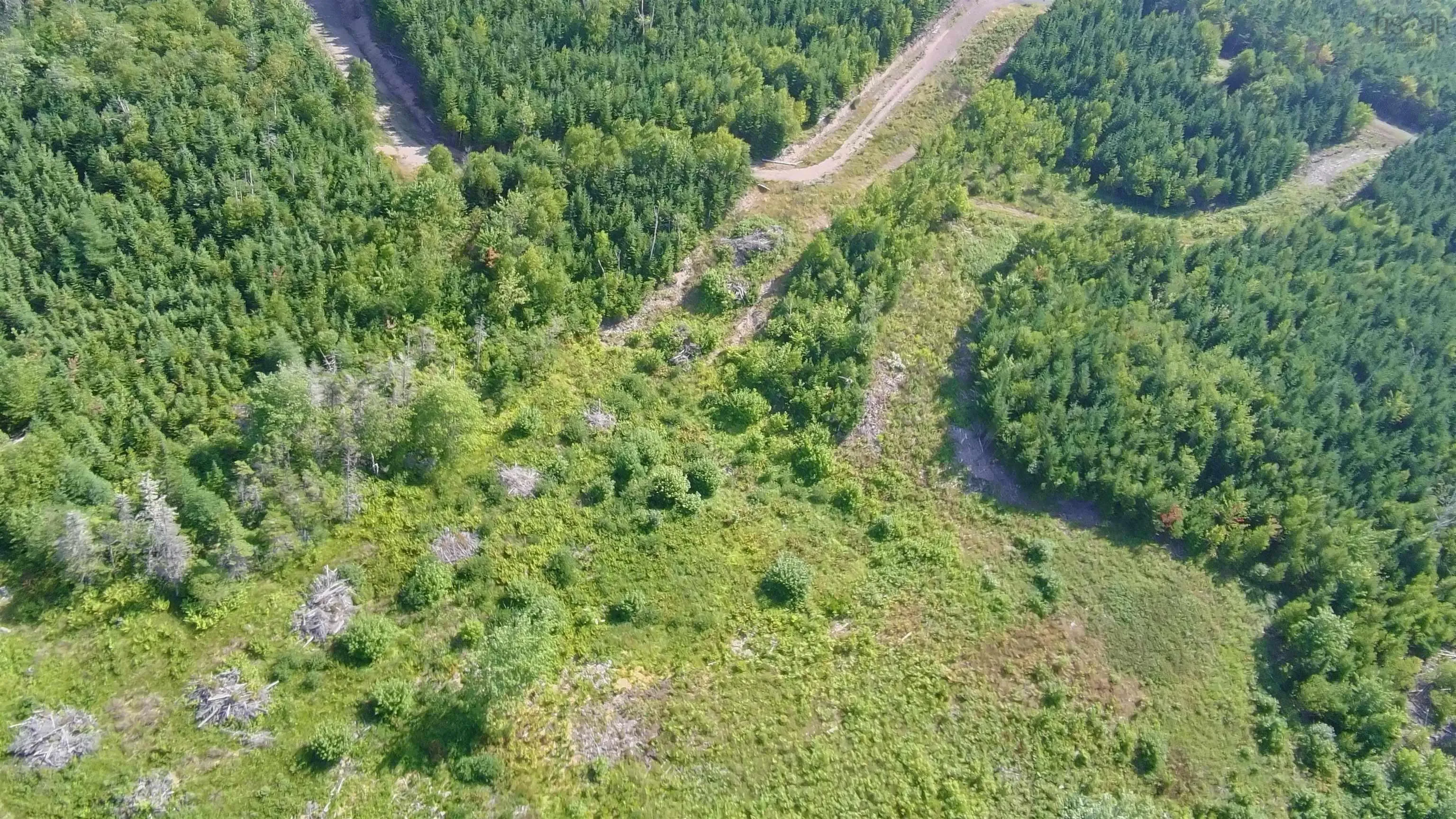Lake Road Lot 11, Grand Lake, NS B0E 3J0, ,Land,For Sale,Lake,202521634
