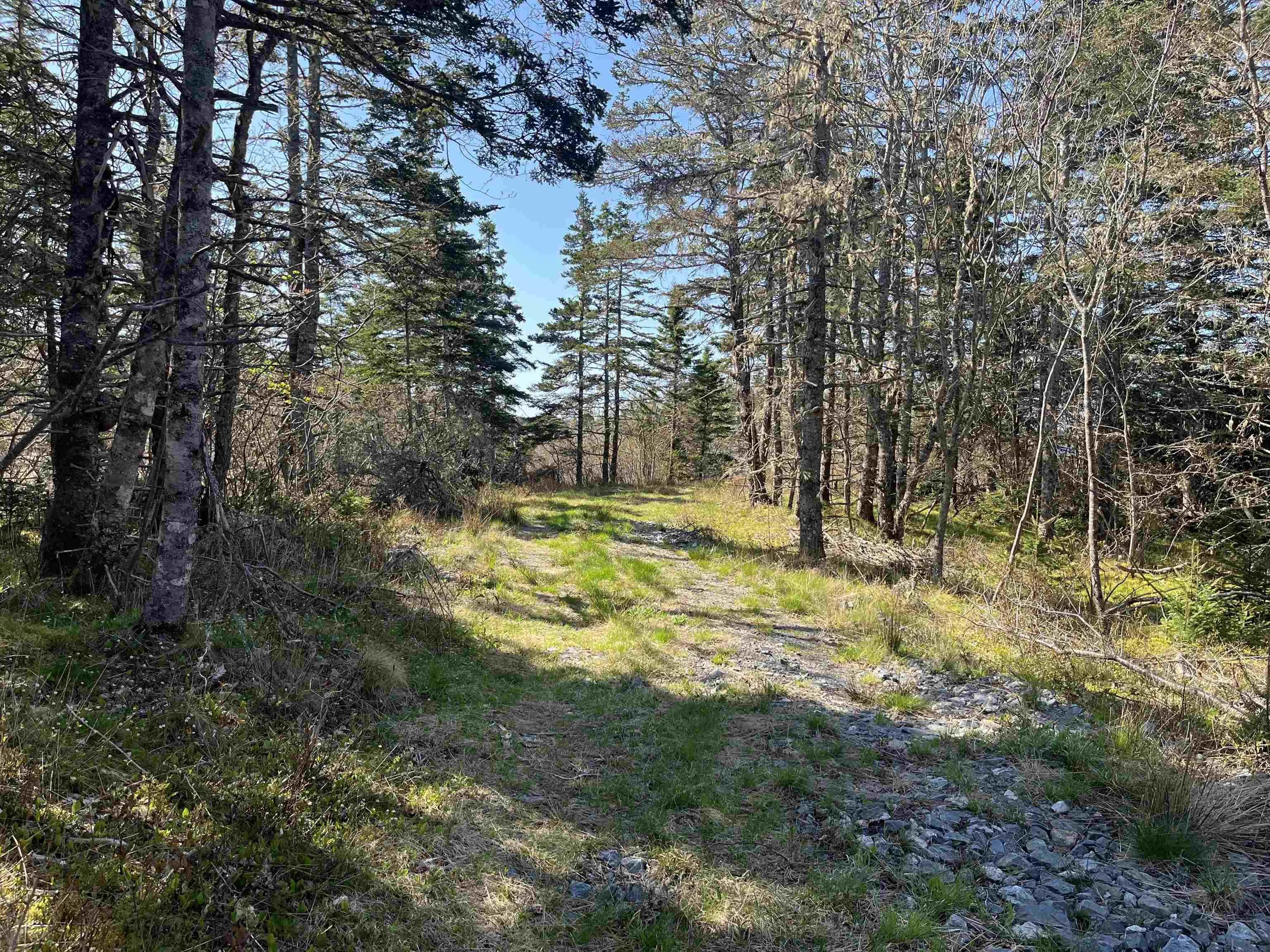 2685 Port La Tour Road, Upper Port La Tour, NS B0W 2T0, ,Land,For Sale,Port La Tour,202513074