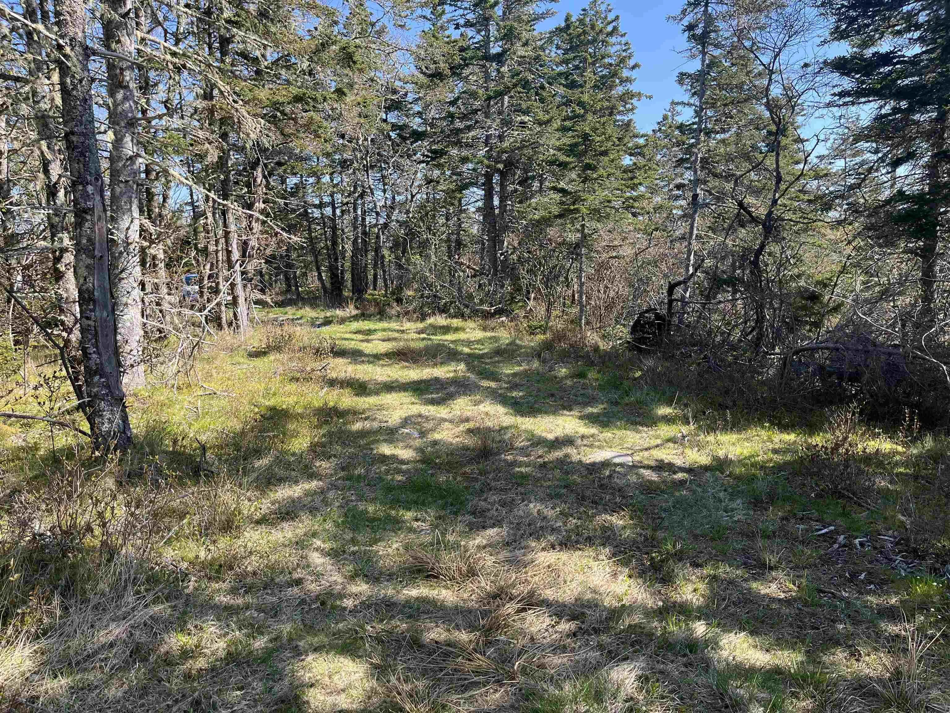 2685 Port La Tour Road, Upper Port La Tour, NS B0W 2T0, ,Land,For Sale,Port La Tour,202513074