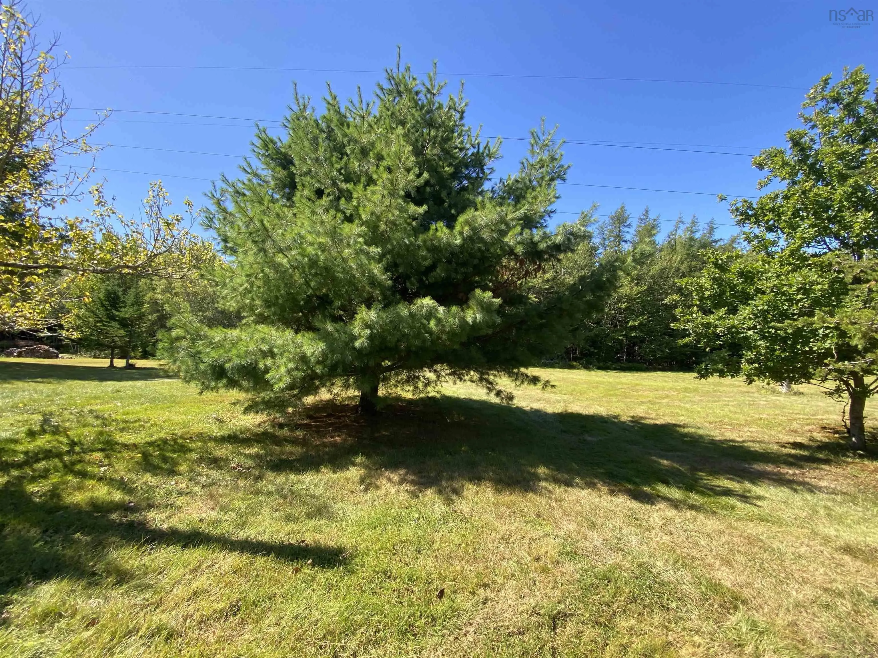 380 Truro Heights Road, Truro Heights, NS B6L 1X6, 3 Bedrooms Bedrooms, ,1 BathroomBathrooms,Residential,For Sale,Truro Heights,202521886