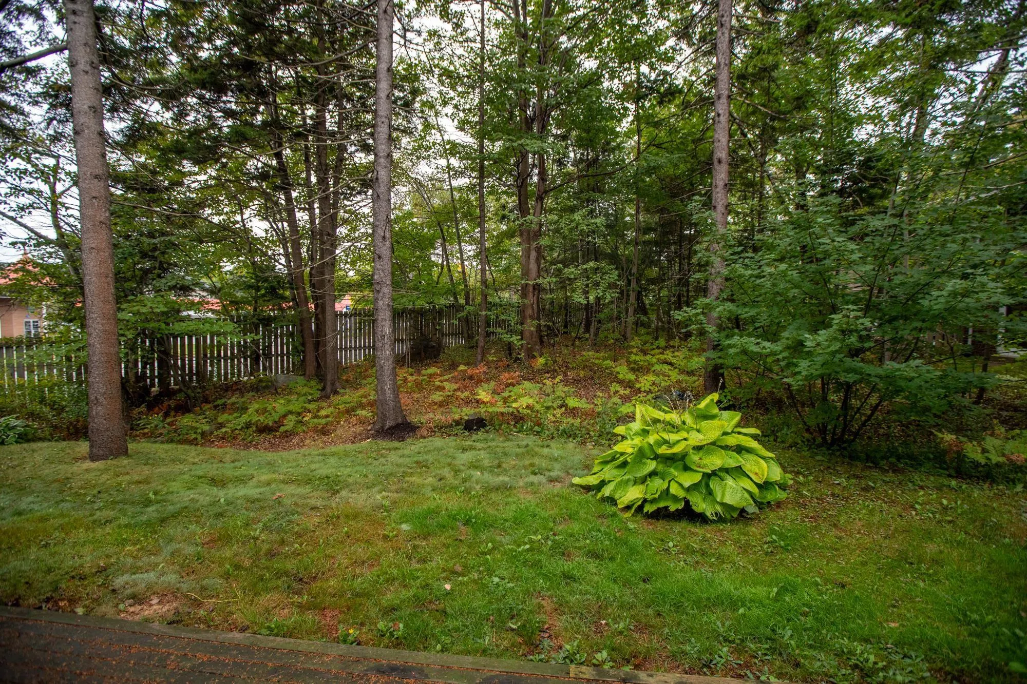 4 Stoney Brook Court, Clayton Park, NS B3M 3L1, 3 Bedrooms Bedrooms, ,2 BathroomsBathrooms,Residential,For Sale,Stoney Brook,202523249