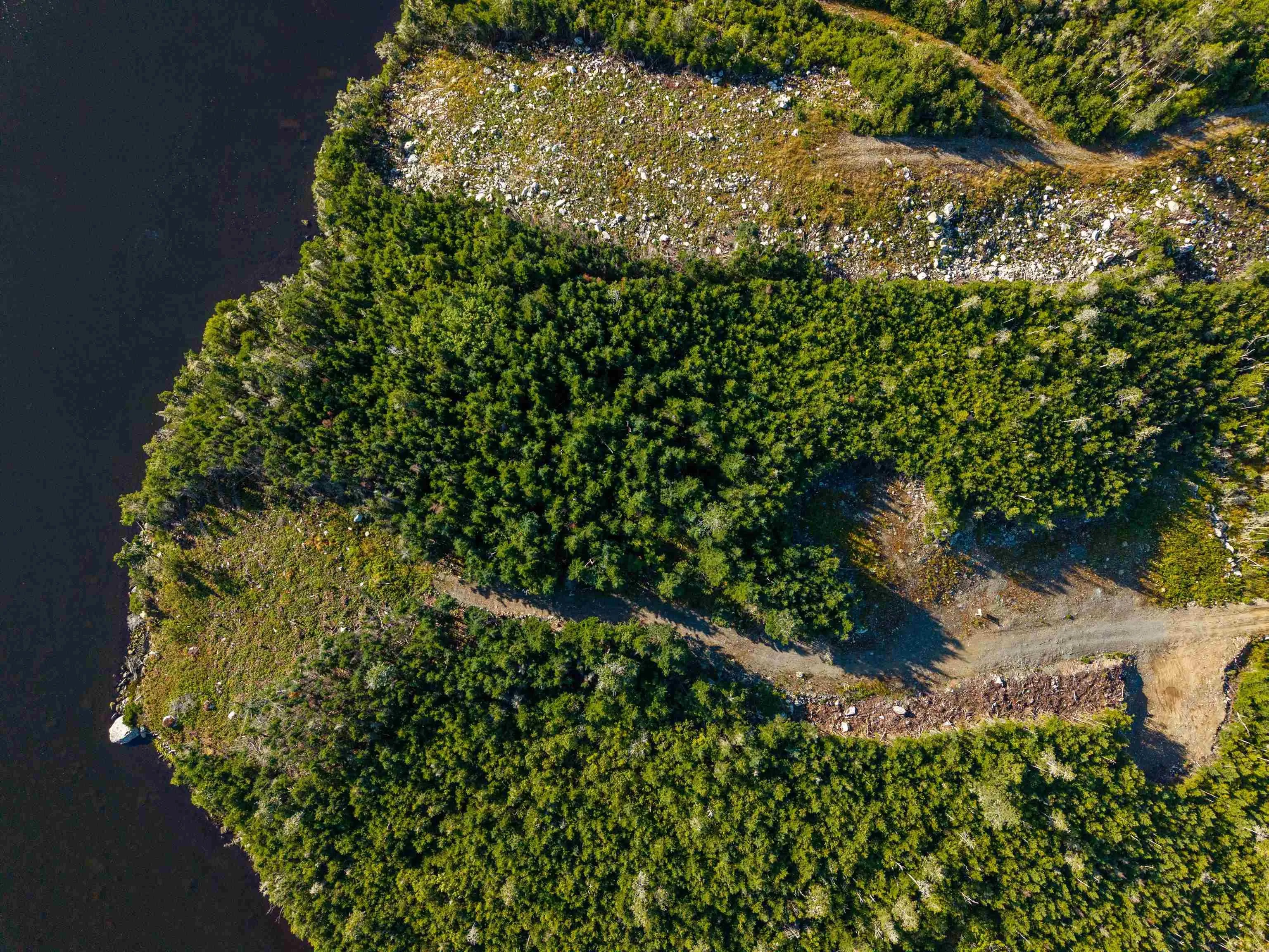 103 Ostrea Lake Road Lot 6, Pleasant Point, NS B0J 2L0, ,Land,For Sale,Ostrea Lake,202521936