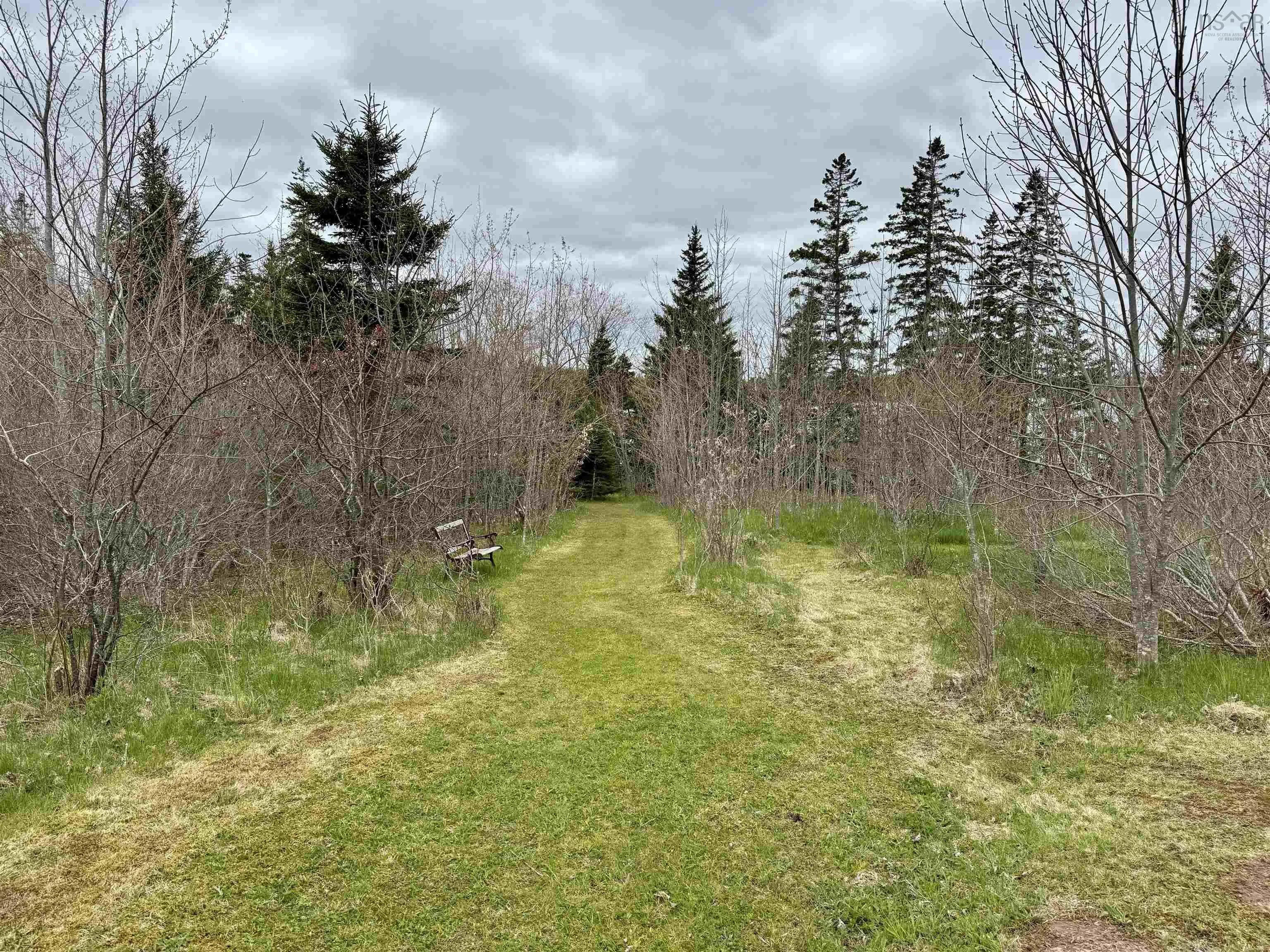 3463 Loch Lomond Rd., Loch Lomond, NS B2E 1C5, 4 Bedrooms Bedrooms, ,1 BathroomBathrooms,Residential,For Sale,Loch Lomond Rd.,202522301