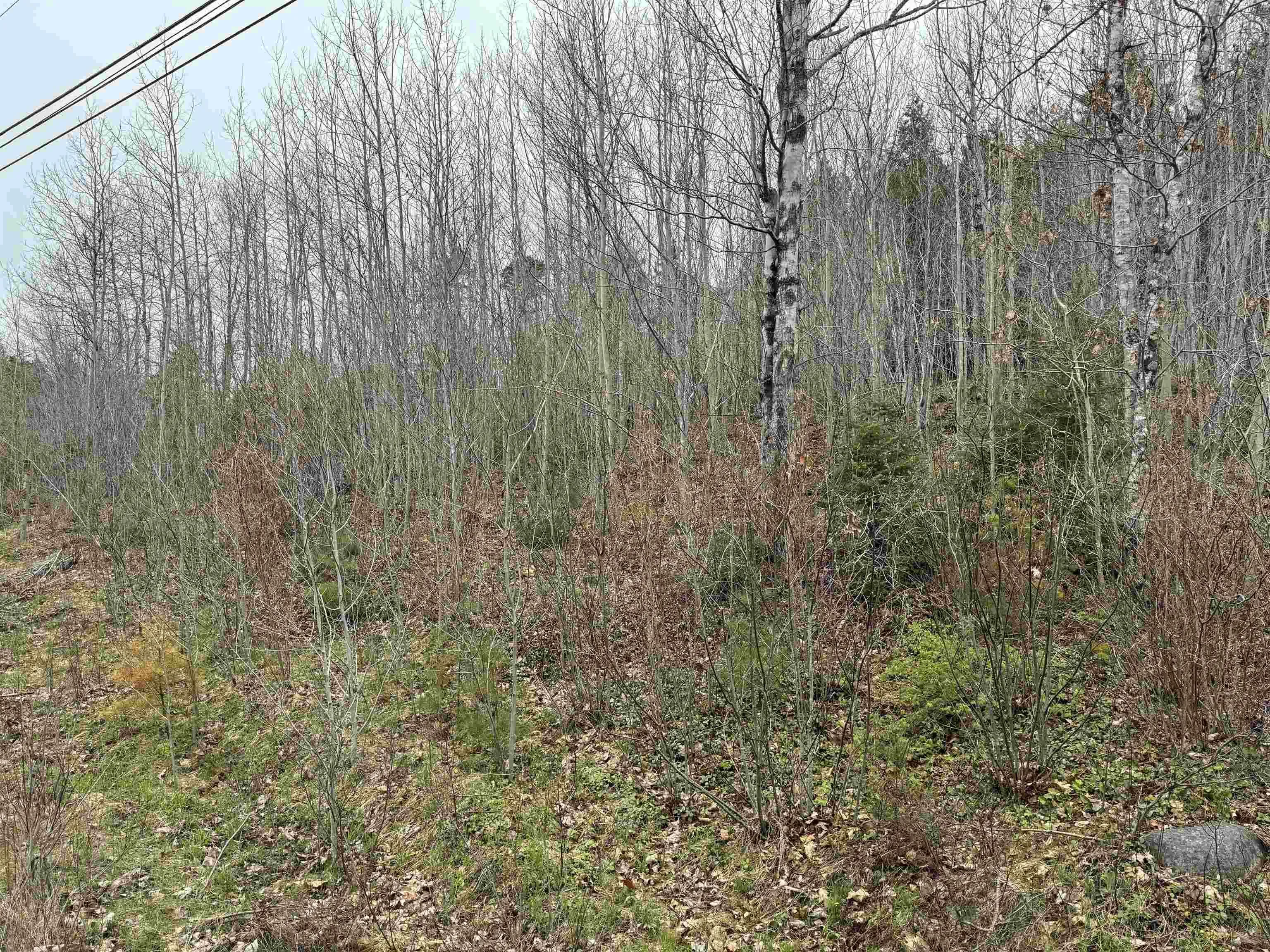 Highway 10 Lot 5, New Germany, NS B0R 1E0, ,Land,For Sale,Highway 10,202410051