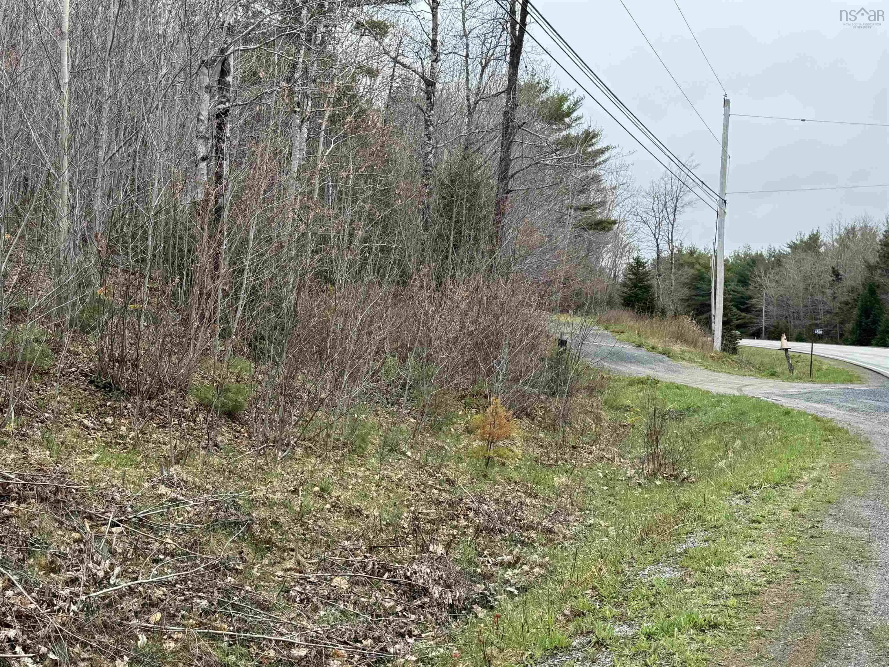 Highway 10 Lot 5, New Germany, NS B0R 1E0, ,Land,For Sale,Highway 10,202410051
