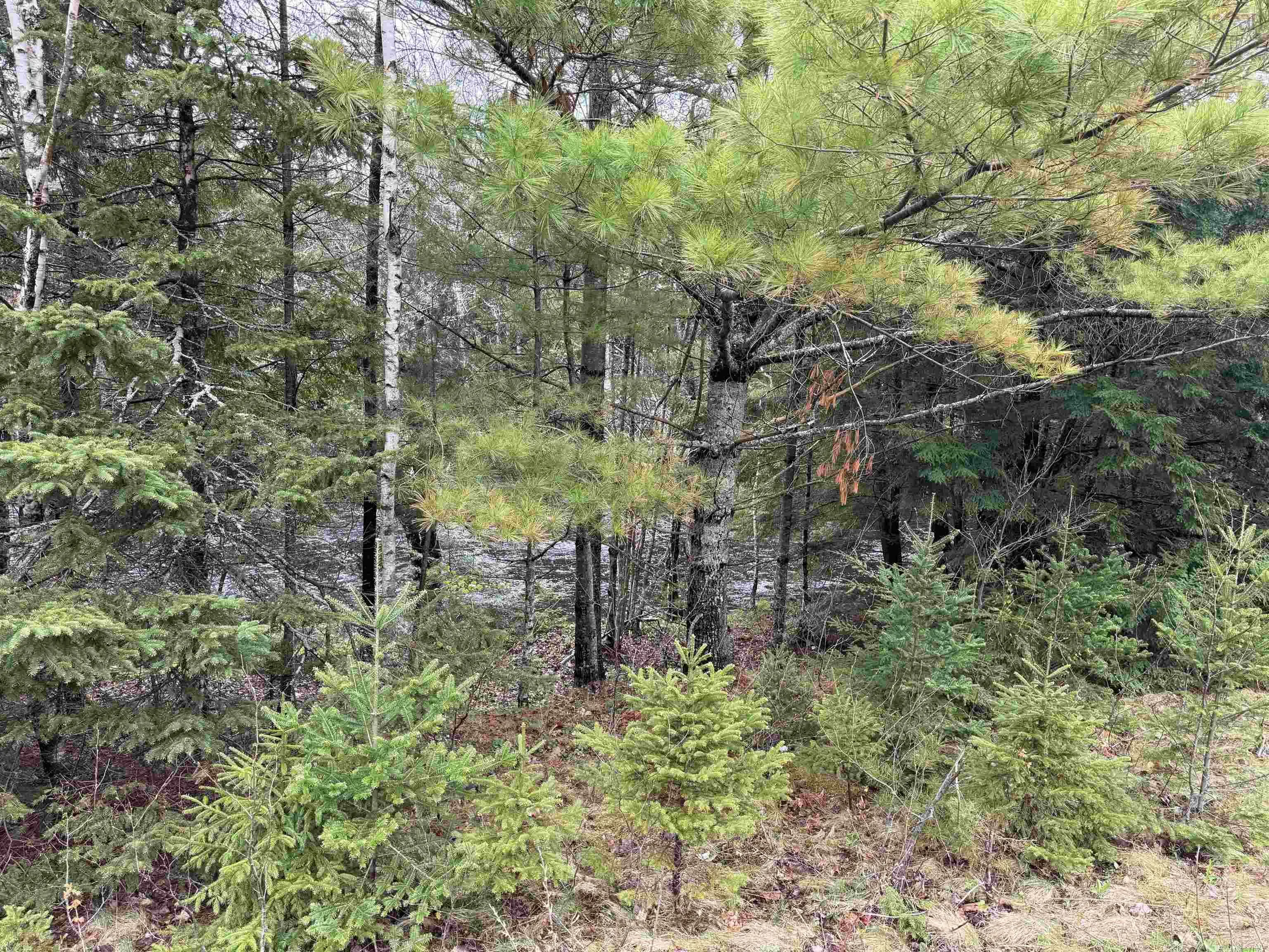 Highway 10 Lot 5, New Germany, NS B0R 1E0, ,Land,For Sale,Highway 10,202410051