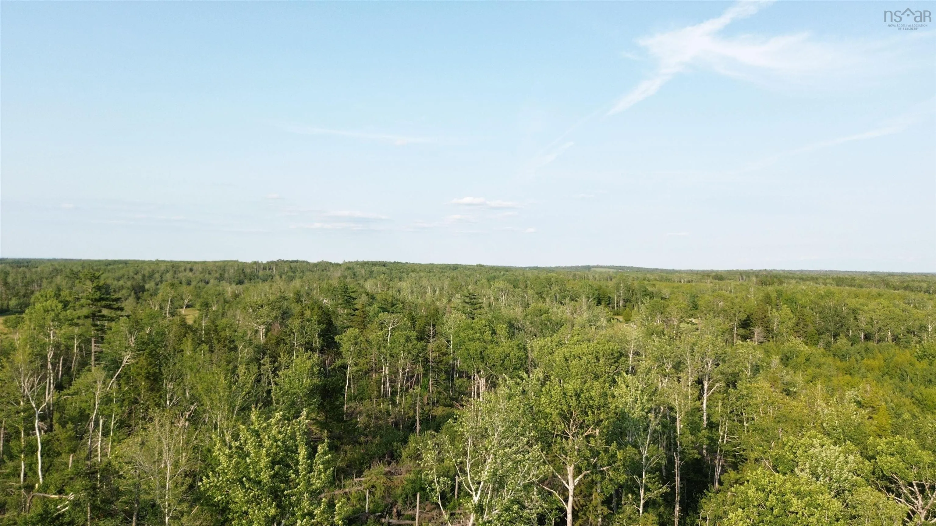 50acres Highway 326, Denmark, NS B0K 1V0, ,Land,For Sale,Highway 326,202518007
