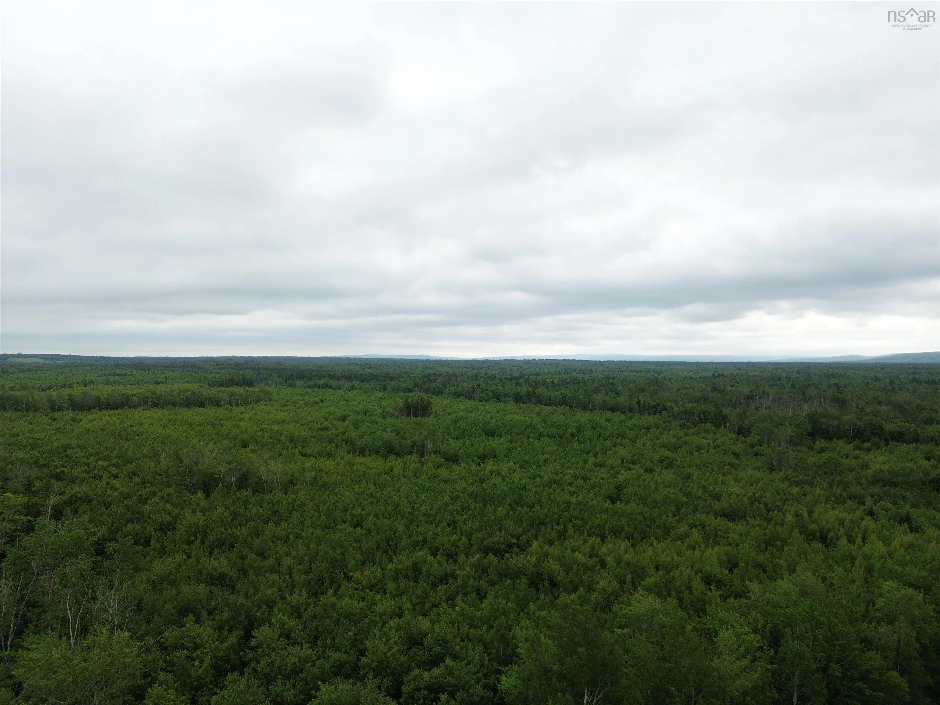 50acres Highway 326, Denmark, NS B0K 1V0, ,Land,For Sale,Highway 326,202518007