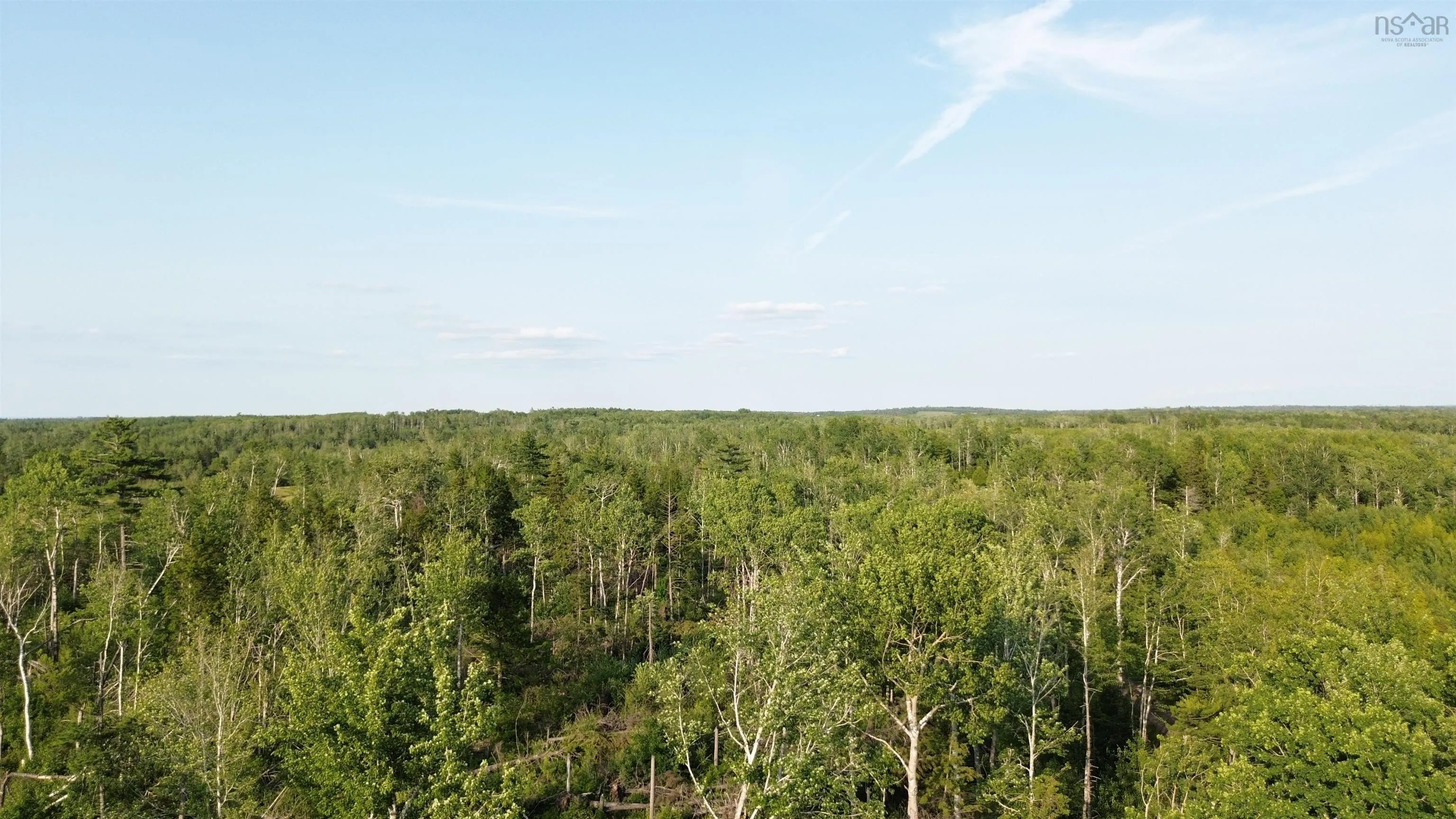 50acres Highway 326, Denmark, NS B0K 1V0, ,Land,For Sale,Highway 326,202518007