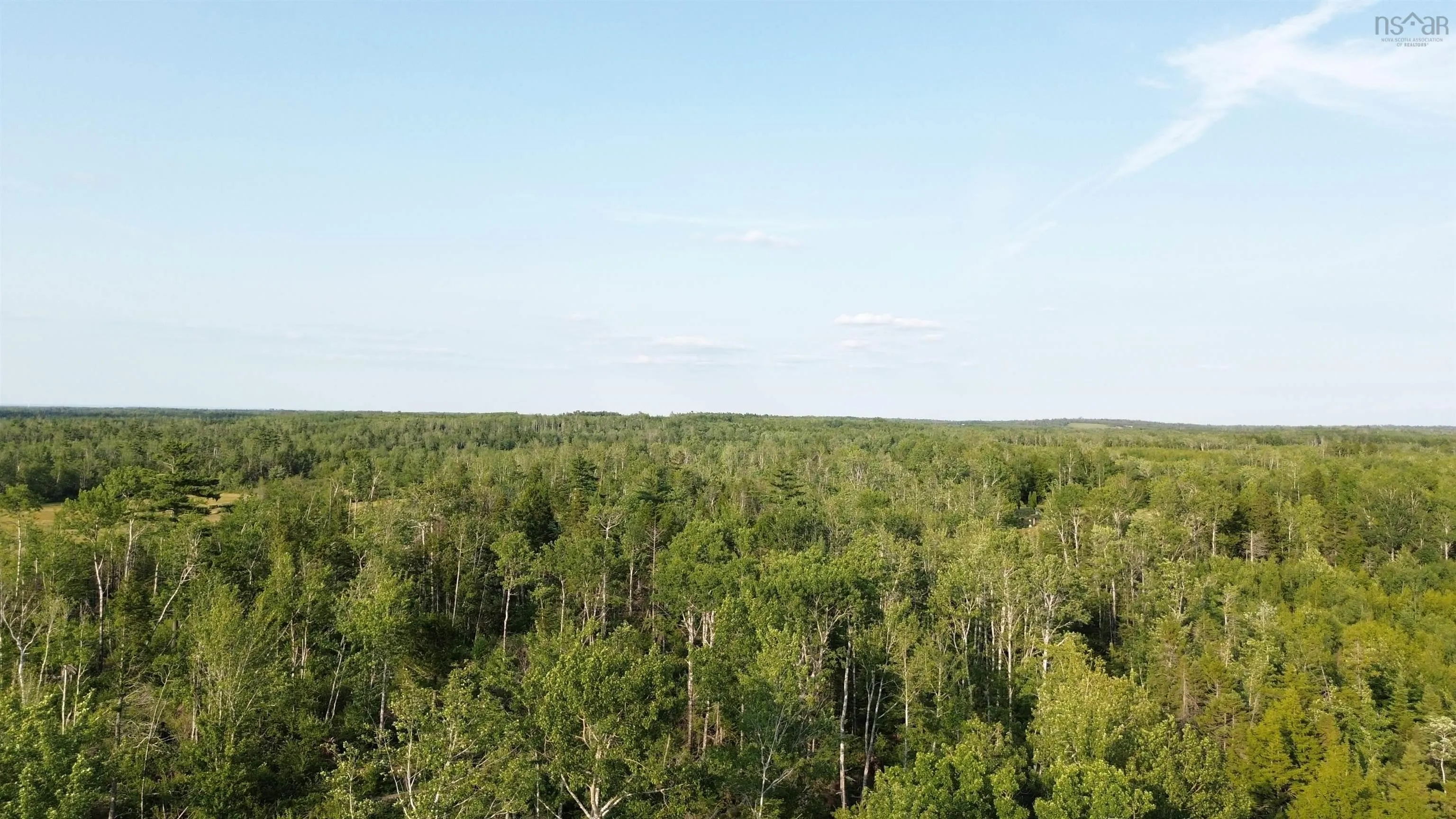 50acres Highway 326, Denmark, NS B0K 1V0, ,Land,For Sale,Highway 326,202518007