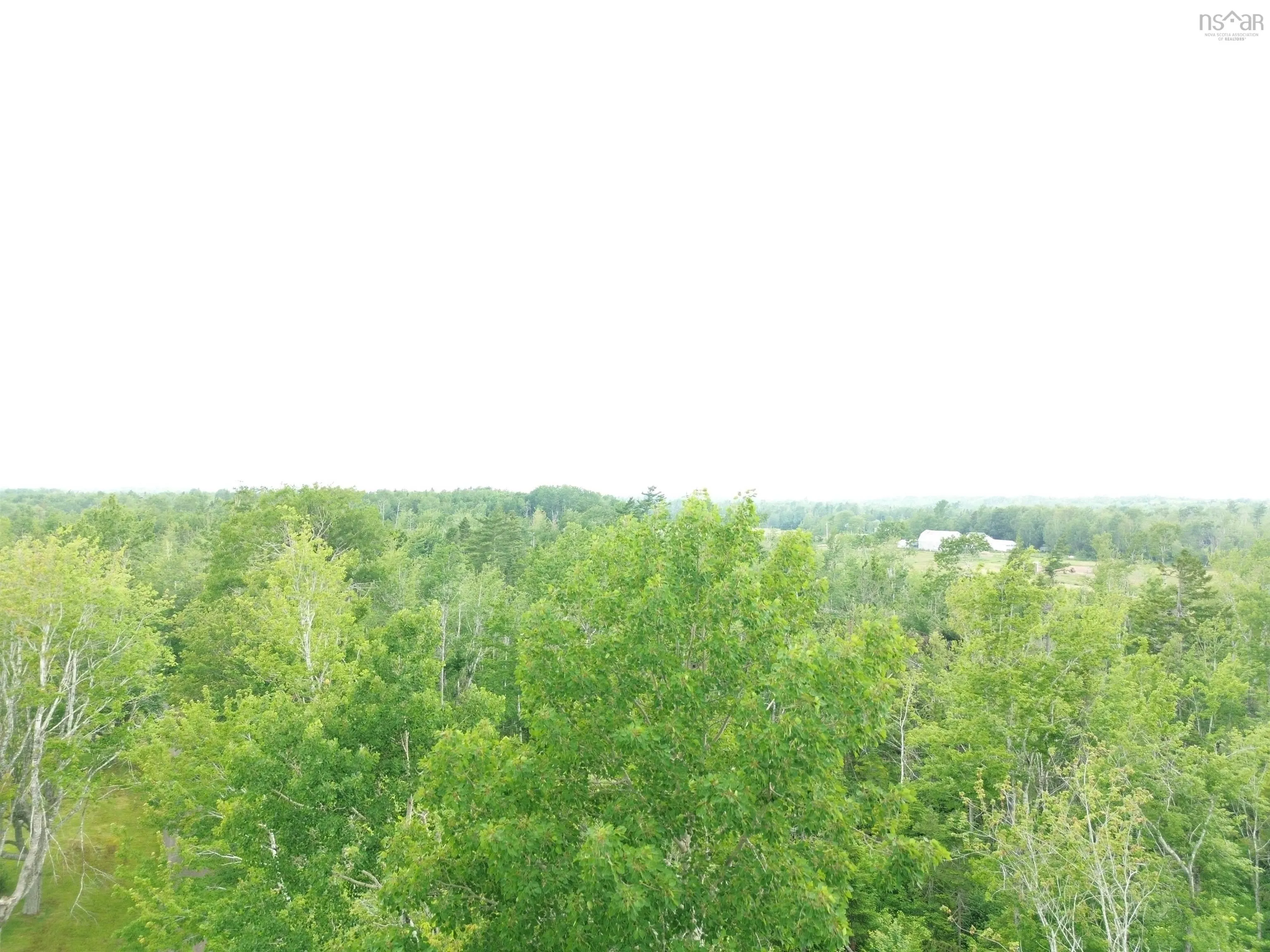 50acres Highway 326, Denmark, NS B0K 1V0, ,Land,For Sale,Highway 326,202518007