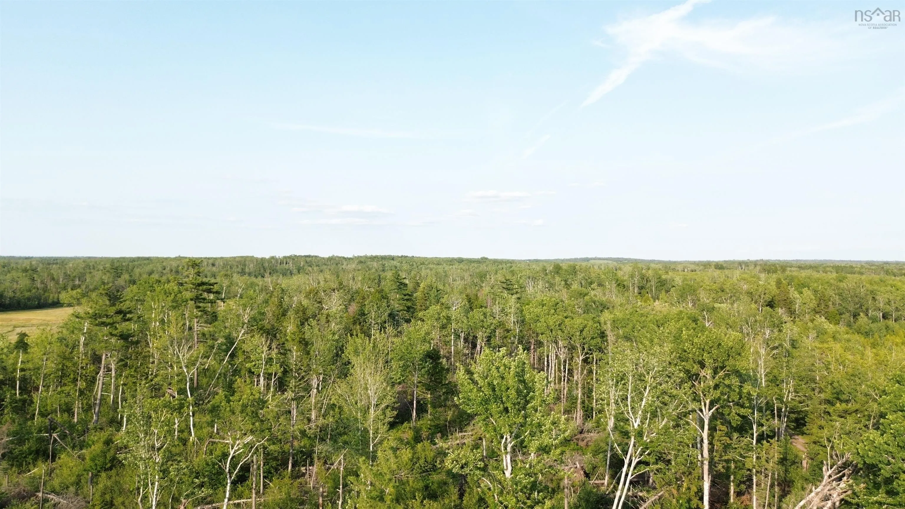 50acres Highway 326, Denmark, NS B0K 1V0, ,Land,For Sale,Highway 326,202518007