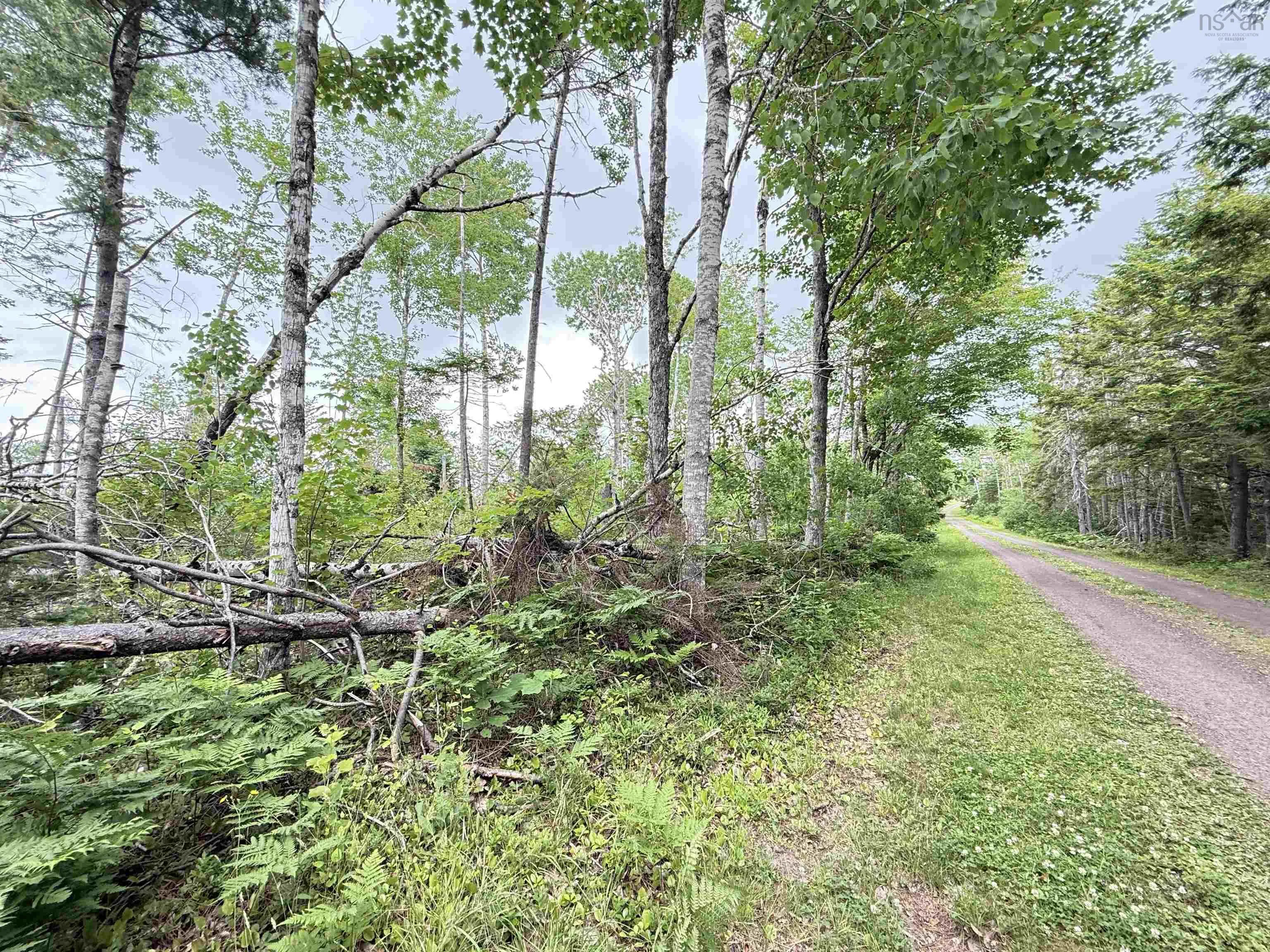 50acres Highway 326, Denmark, NS B0K 1V0, ,Land,For Sale,Highway 326,202518007
