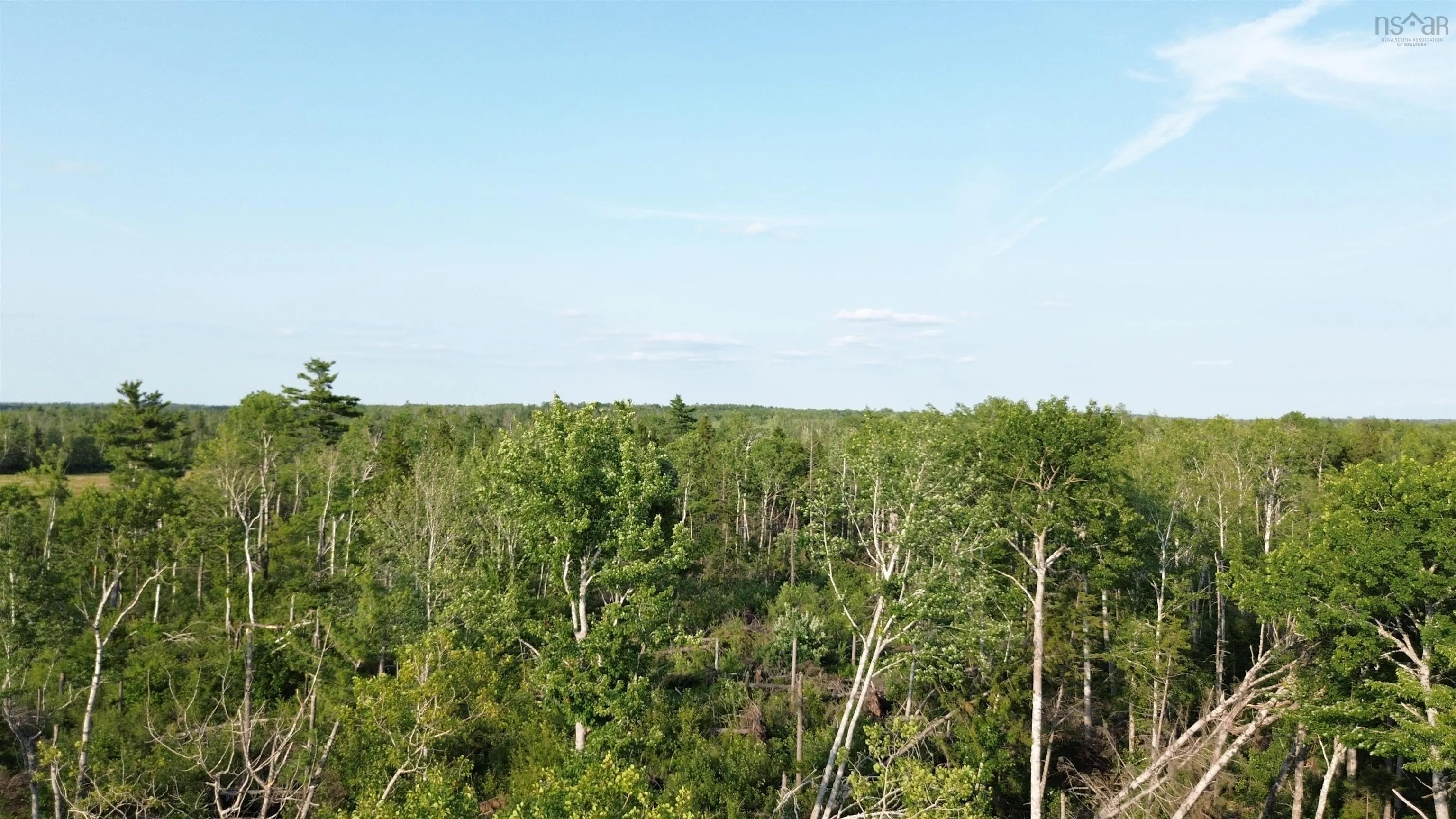 50acres Highway 326, Denmark, NS B0K 1V0, ,Land,For Sale,Highway 326,202518007