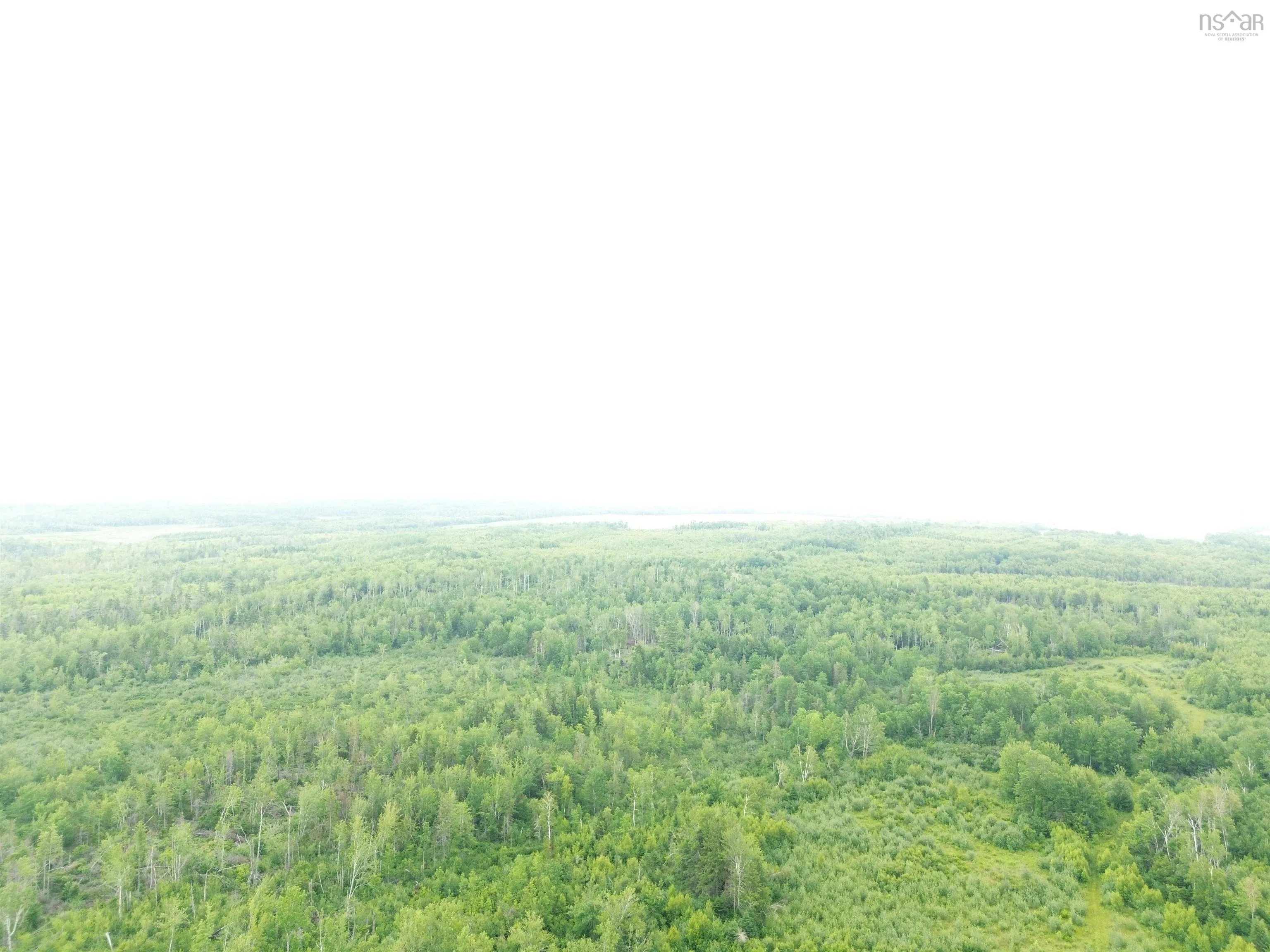 50acres Highway 326, Denmark, NS B0K 1V0, ,Land,For Sale,Highway 326,202518007