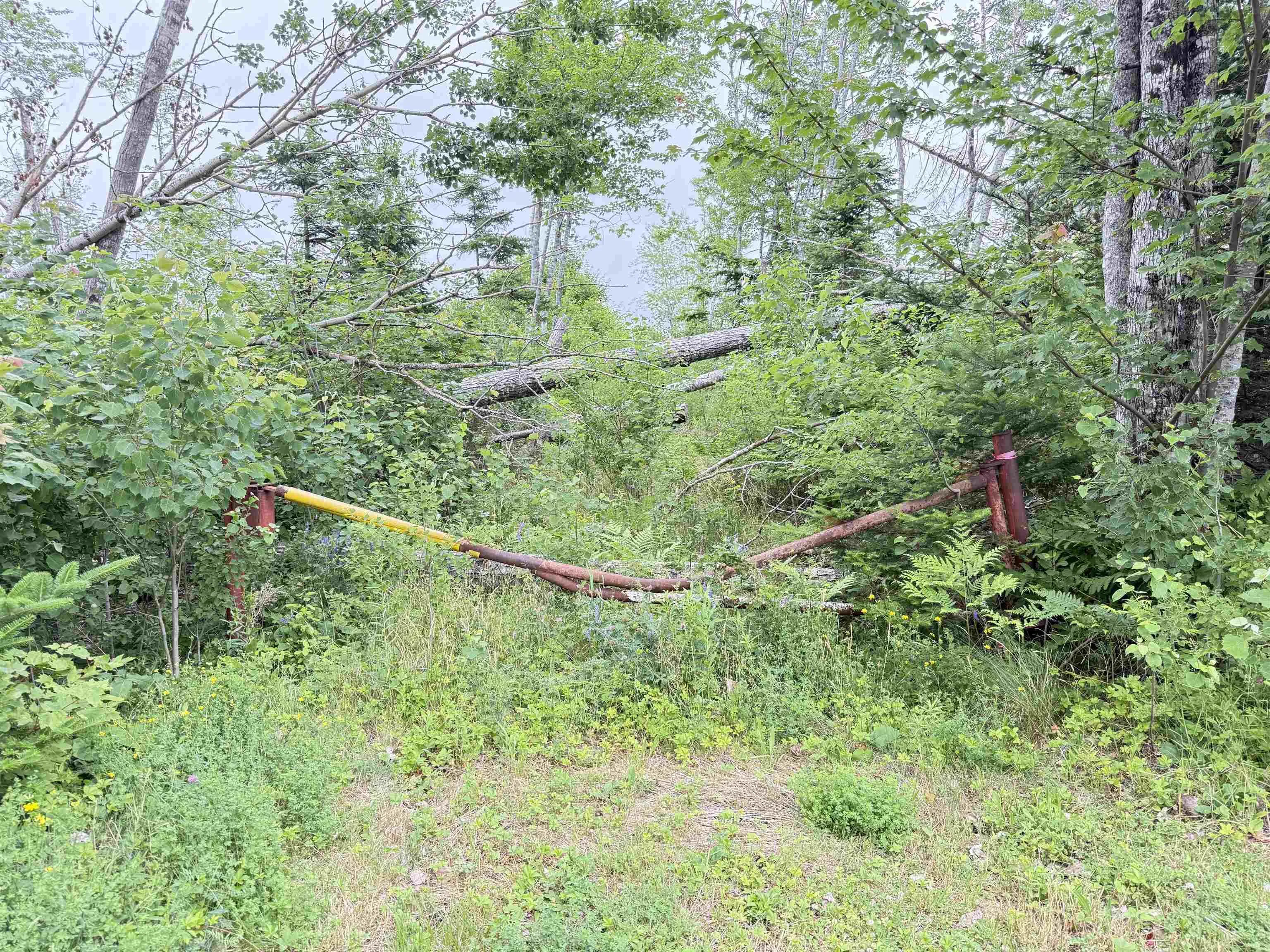 50acres Highway 326, Denmark, NS B0K 1V0, ,Land,For Sale,Highway 326,202518007