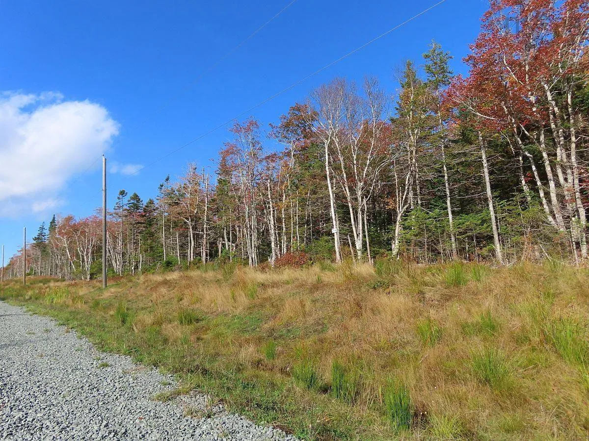 Lot 20 Perry Lane, Lennox Passage Ns B0e 1k0, ,Land,For Sale,Perry,202410184