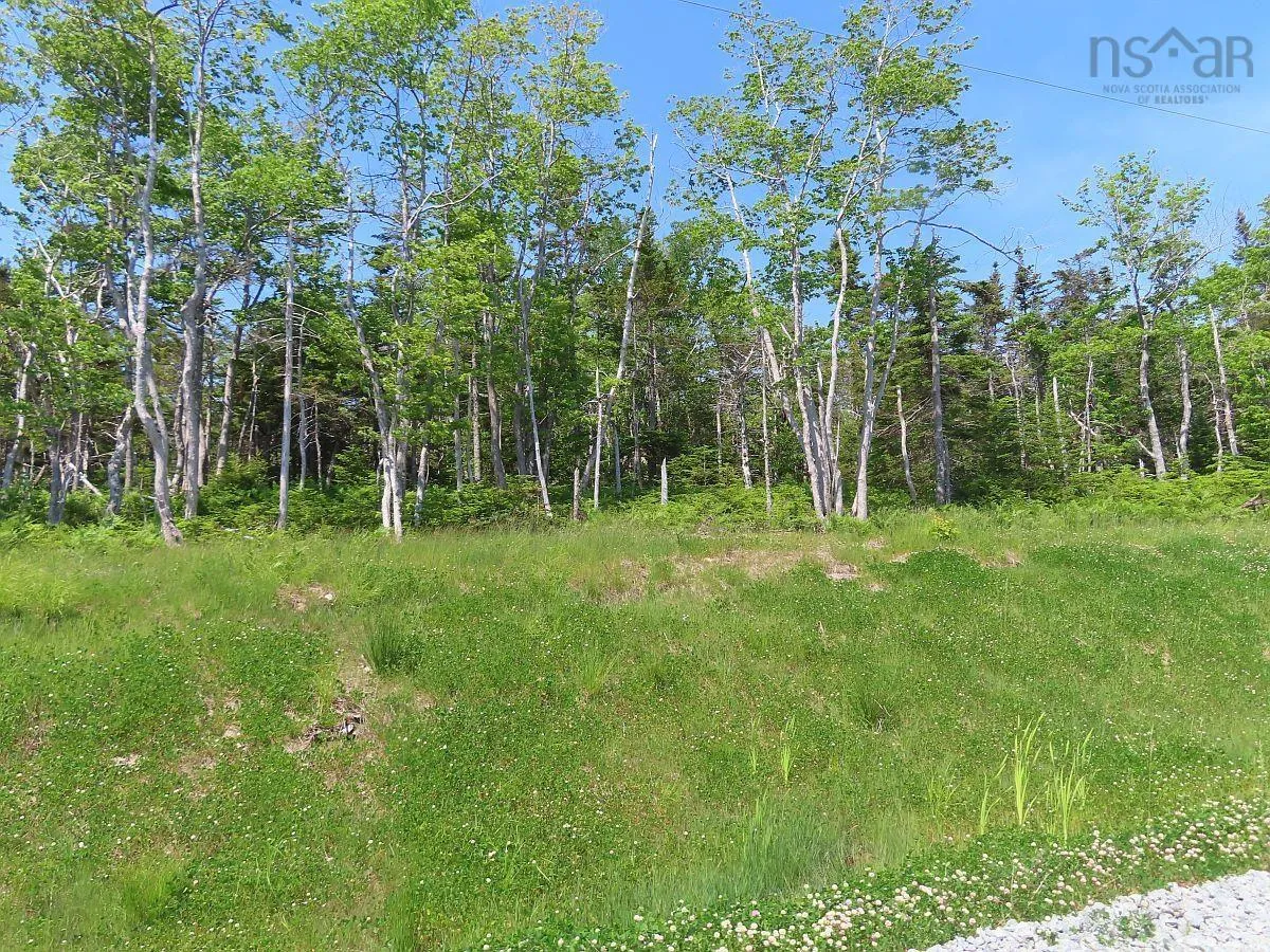 Lot 20 Perry Lane, Lennox Passage Ns B0e 1k0, ,Land,For Sale,Perry,202410184
