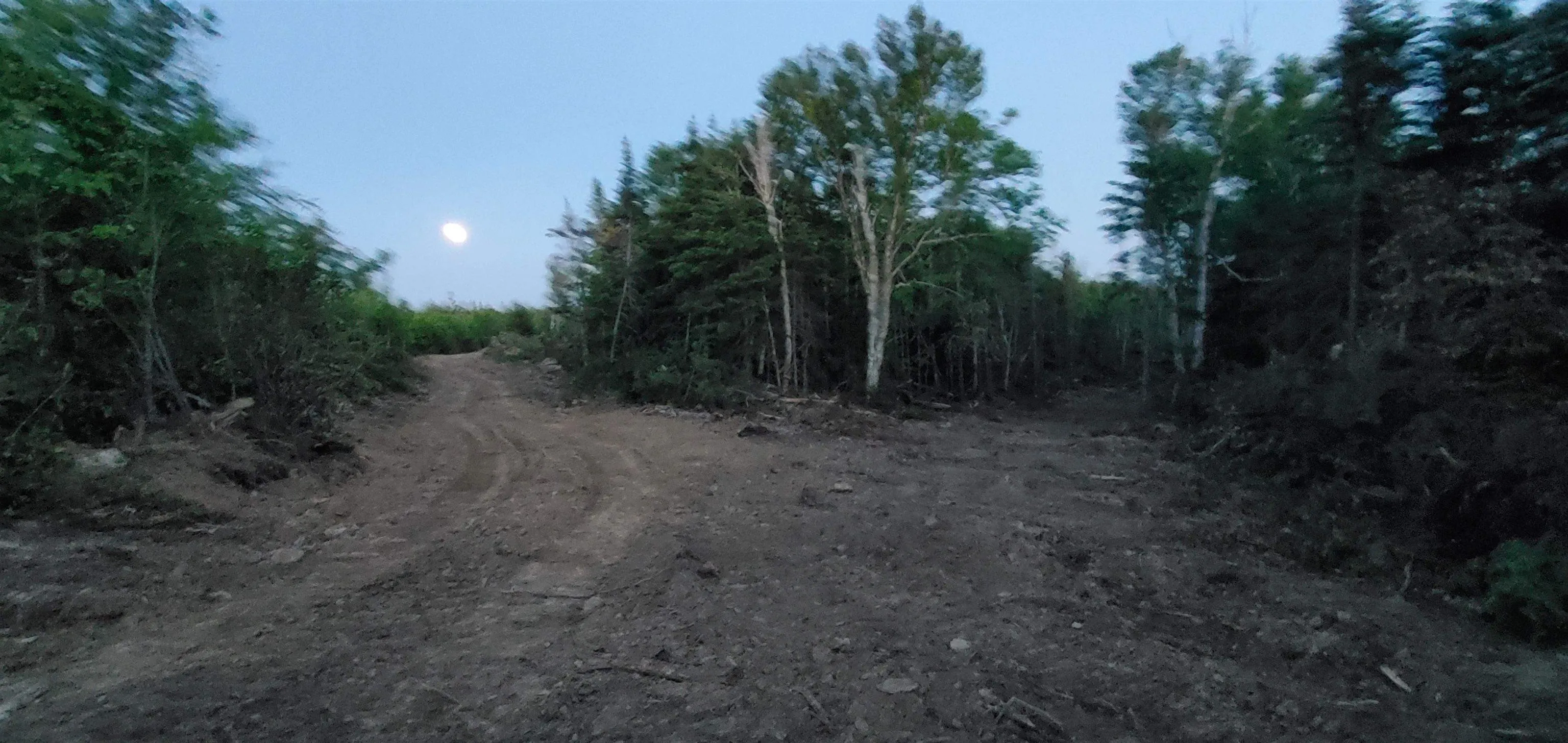 0-port Morien Drive, Port Morien, NS B1B 1P1, ,Land,For Sale,Morien,202522553