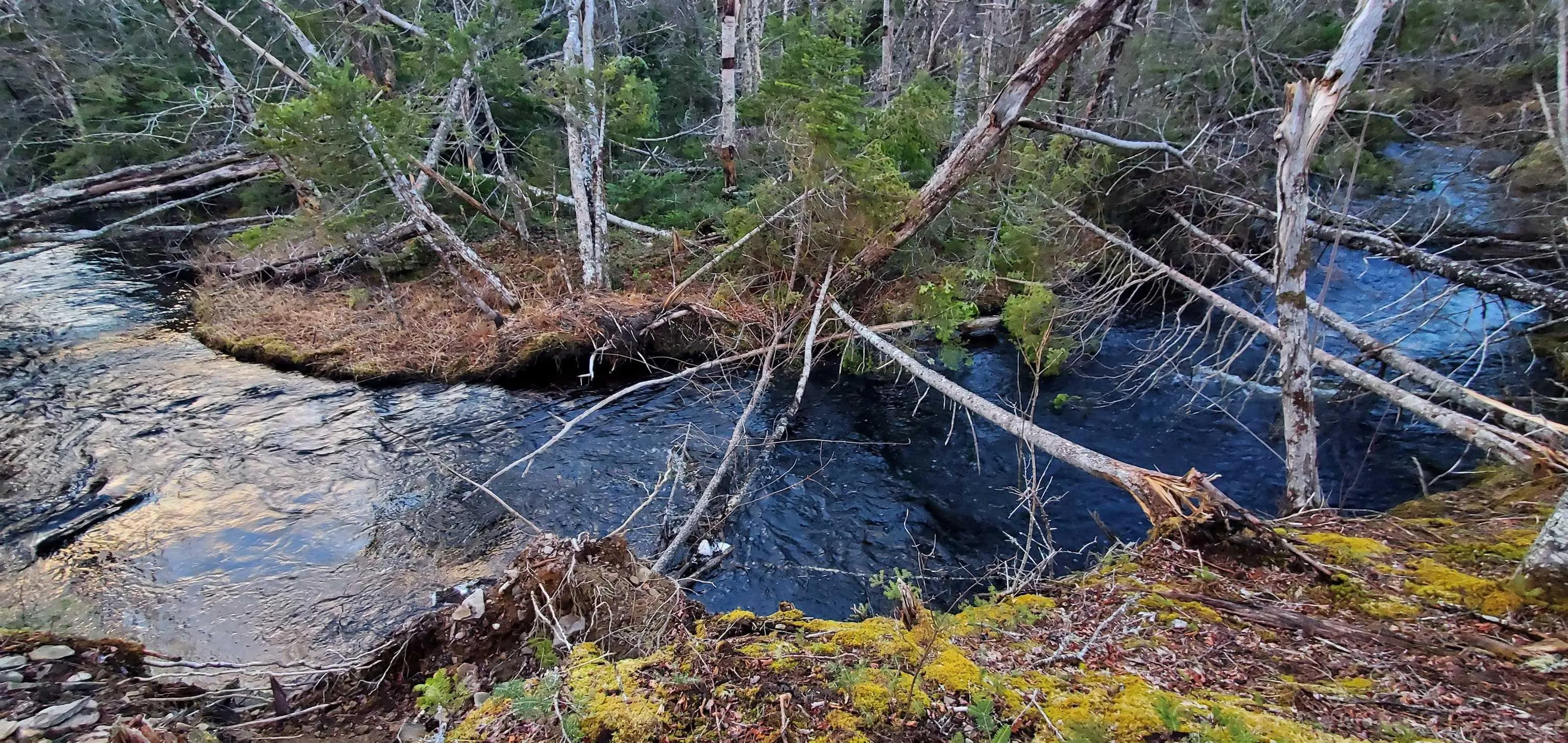 0-port Morien Drive, Port Morien, NS B1B 1P1, ,Land,For Sale,Morien,202522553