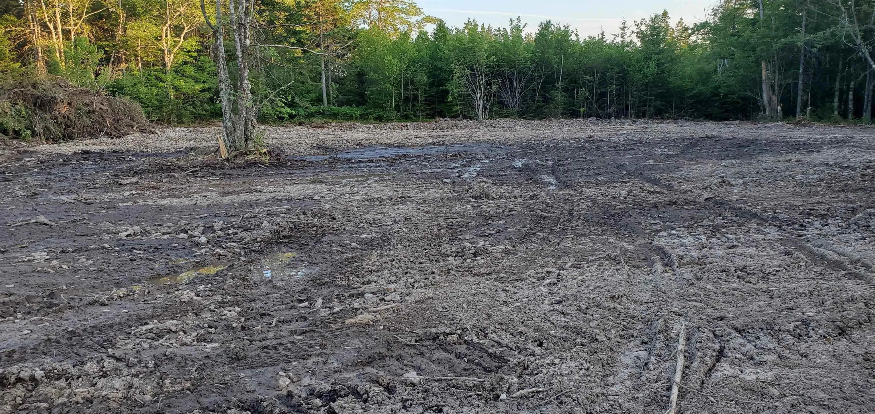 0-port Morien Drive, Port Morien, NS B1B 1P1, ,Land,For Sale,Morien,202522553