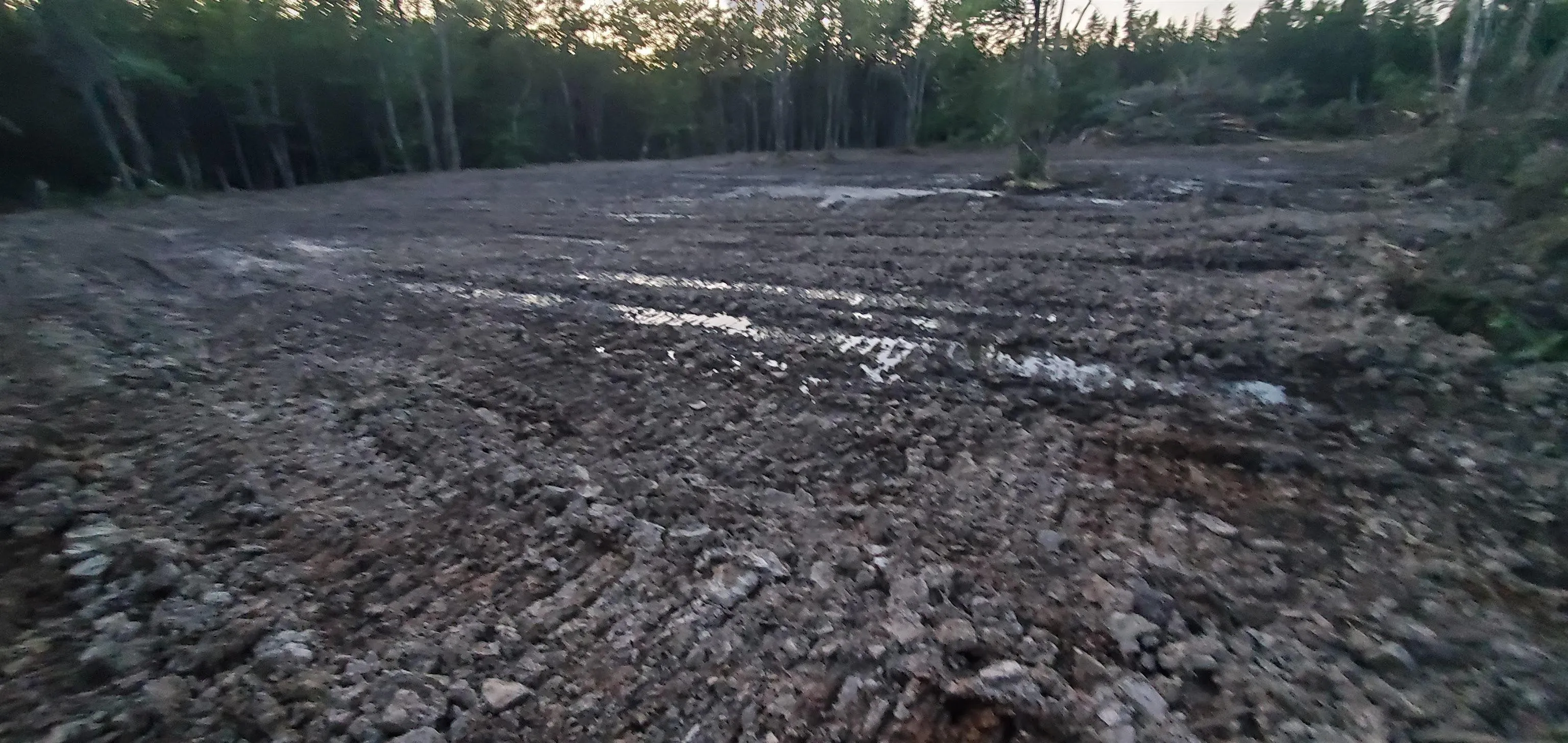 0-port Morien Drive, Port Morien, NS B1B 1P1, ,Land,For Sale,Morien,202522553