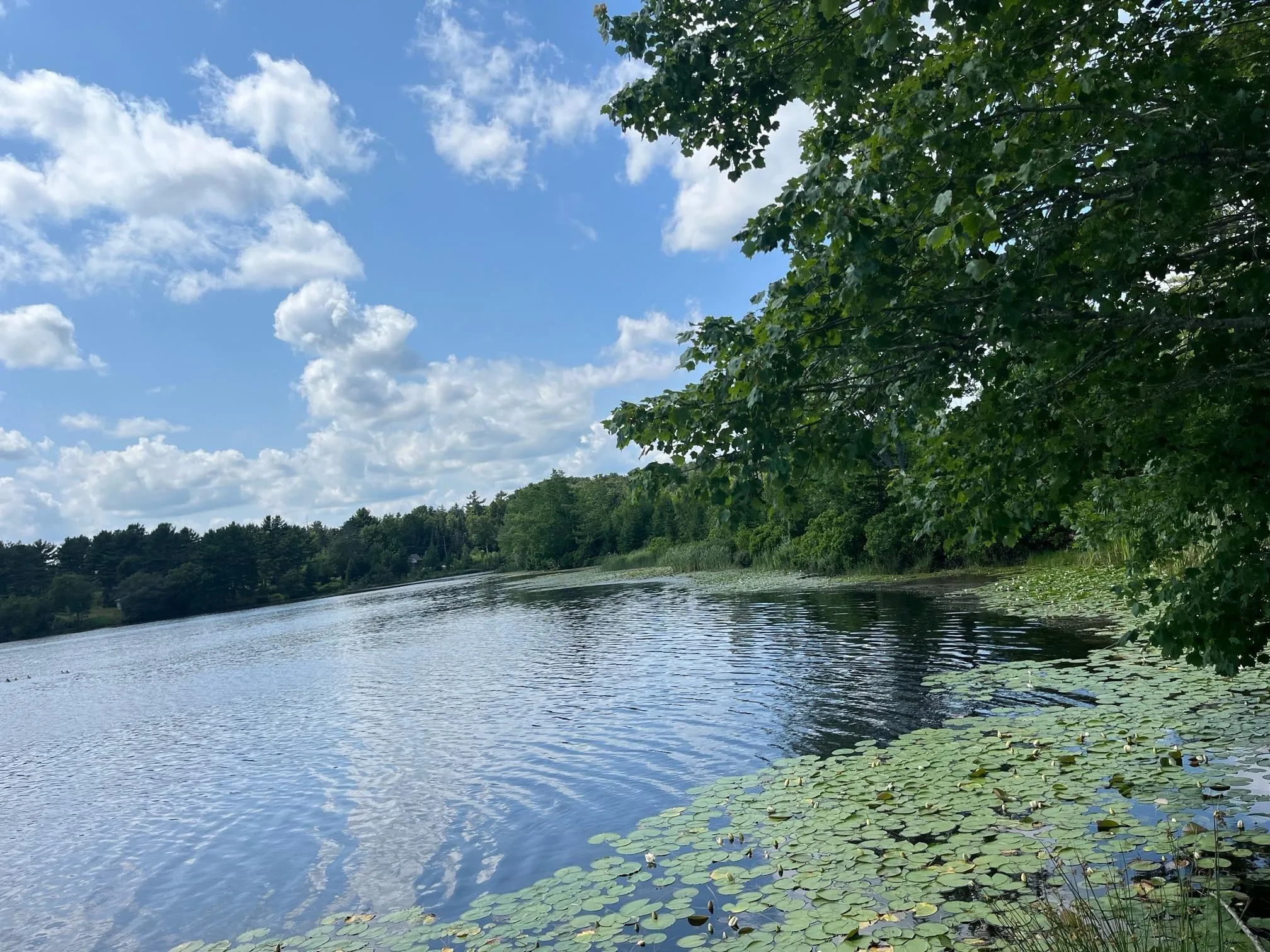 King Fisher Lane Lot 8, Masons Beach Ns B0j 2c0, ,Land,For Sale,King Fisher,202315855