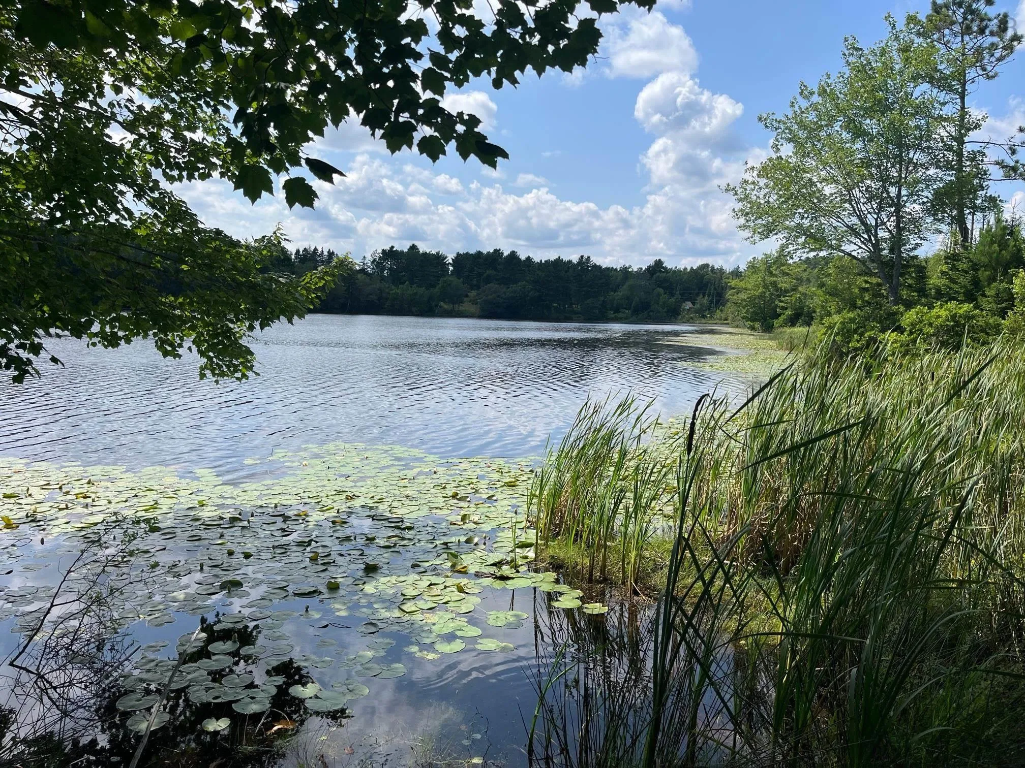 King Fisher Lane Lot 8, Masons Beach Ns B0j 2c0, ,Land,For Sale,King Fisher,202315855