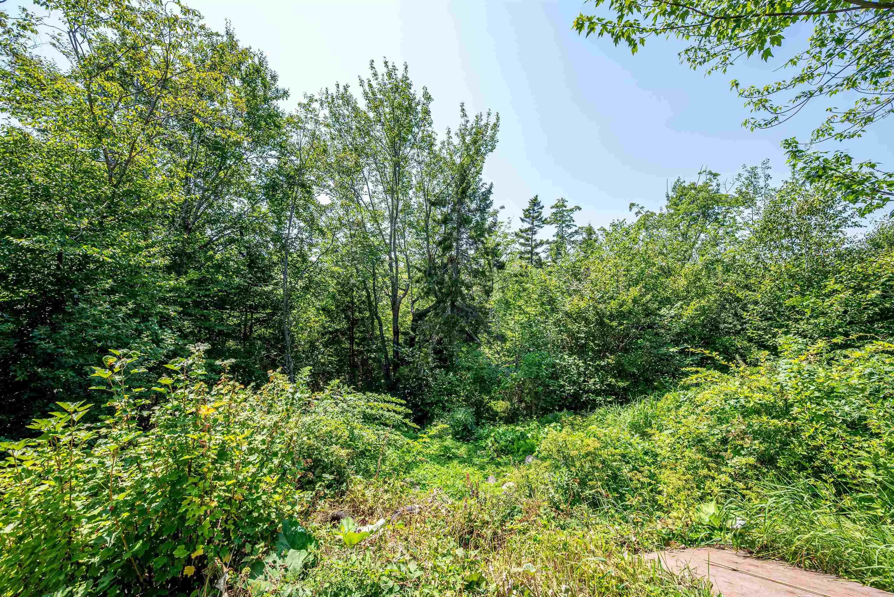86 La Pierre Crescent, Dartmouth, NS B2W 5C8, 5 Bedrooms Bedrooms, ,3 BathroomsBathrooms,Residential,For Sale,La Pierre,202519481