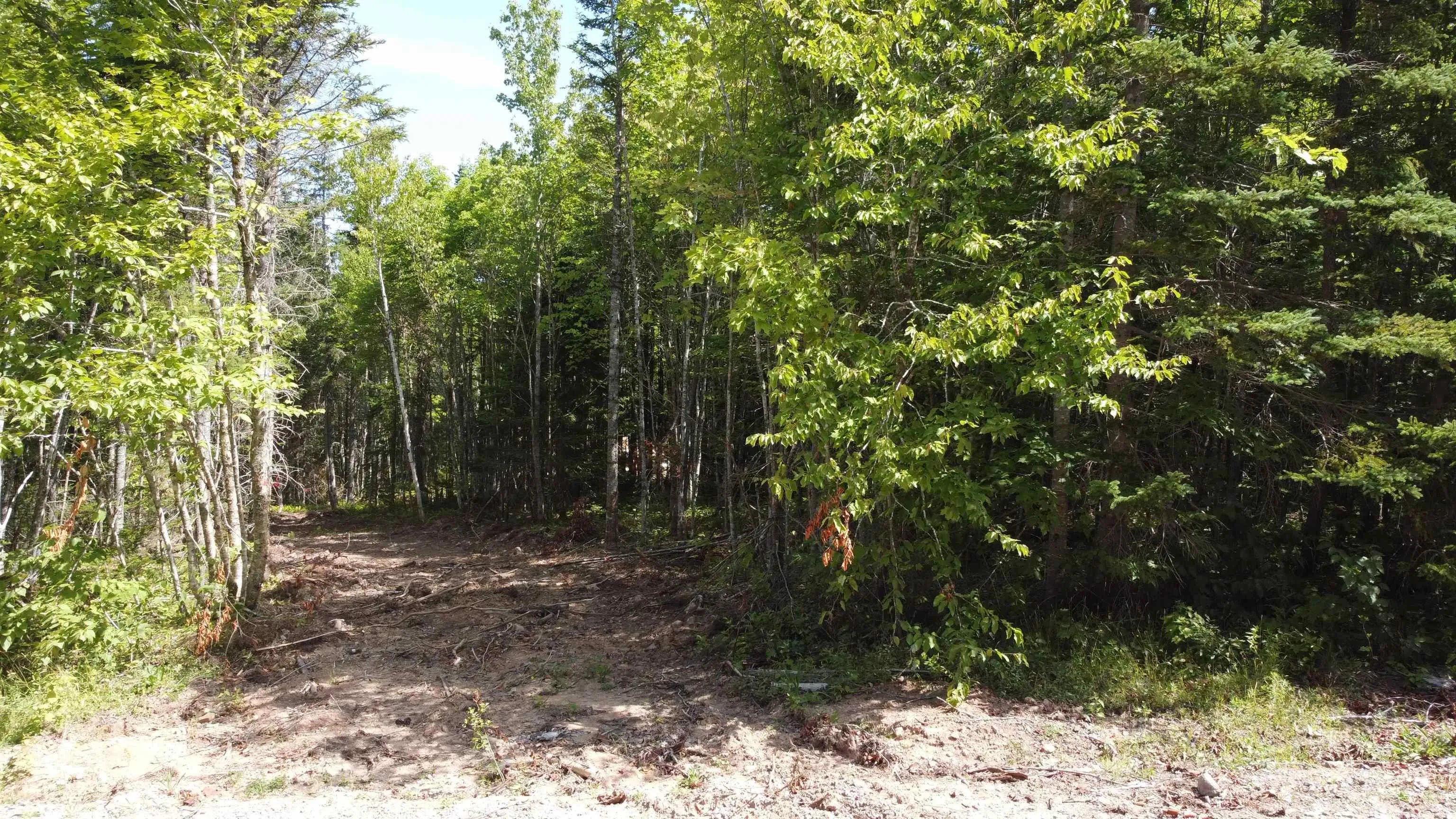 Lot 5 Calabash Road, Boularderie East, NS B1X 1K1, ,Land,For Sale,Calabash,202520069