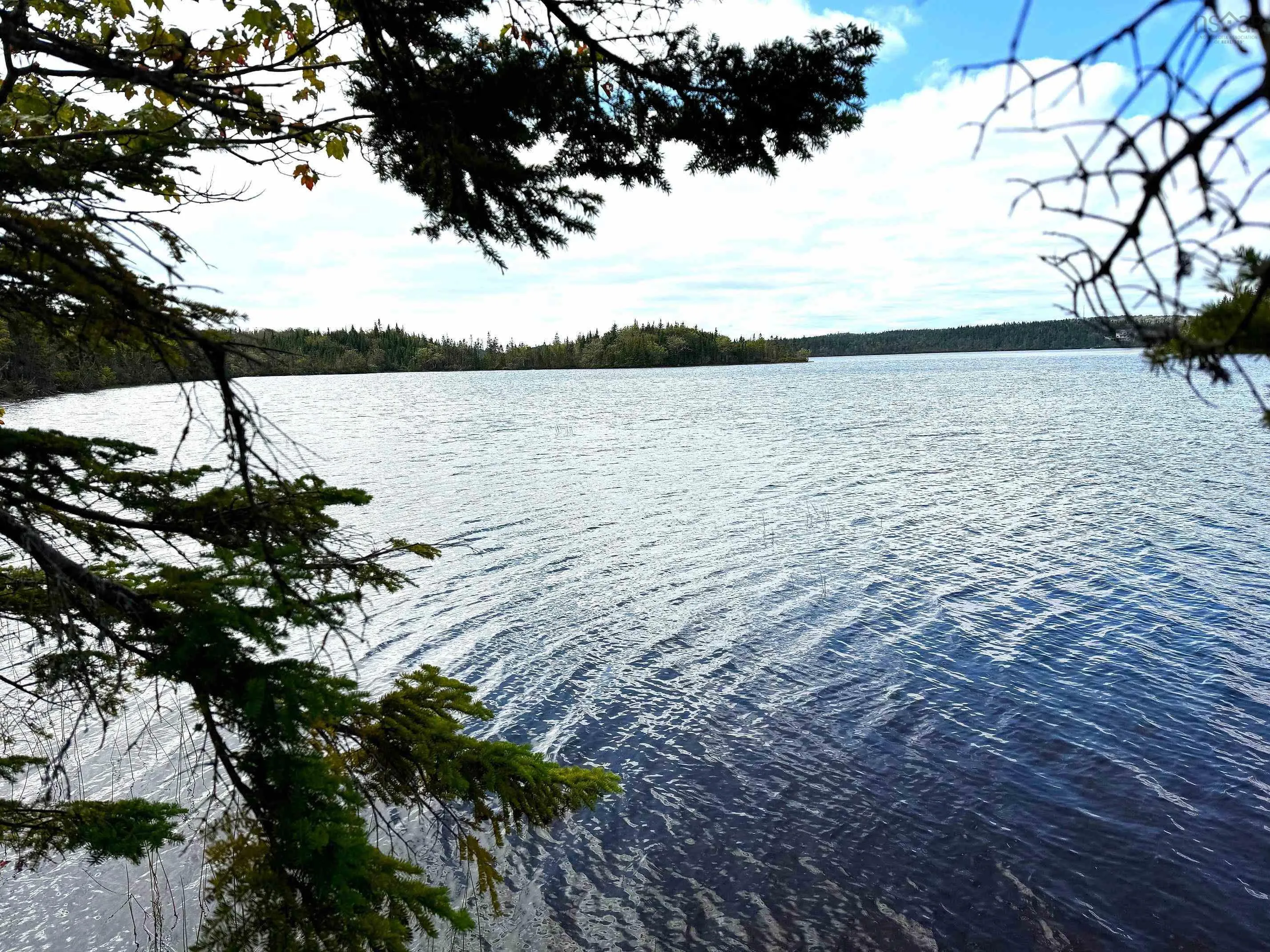 Oceanview Road, French Road Ns B1k 2a2, ,Land,For Sale,Oceanview Road,202423152