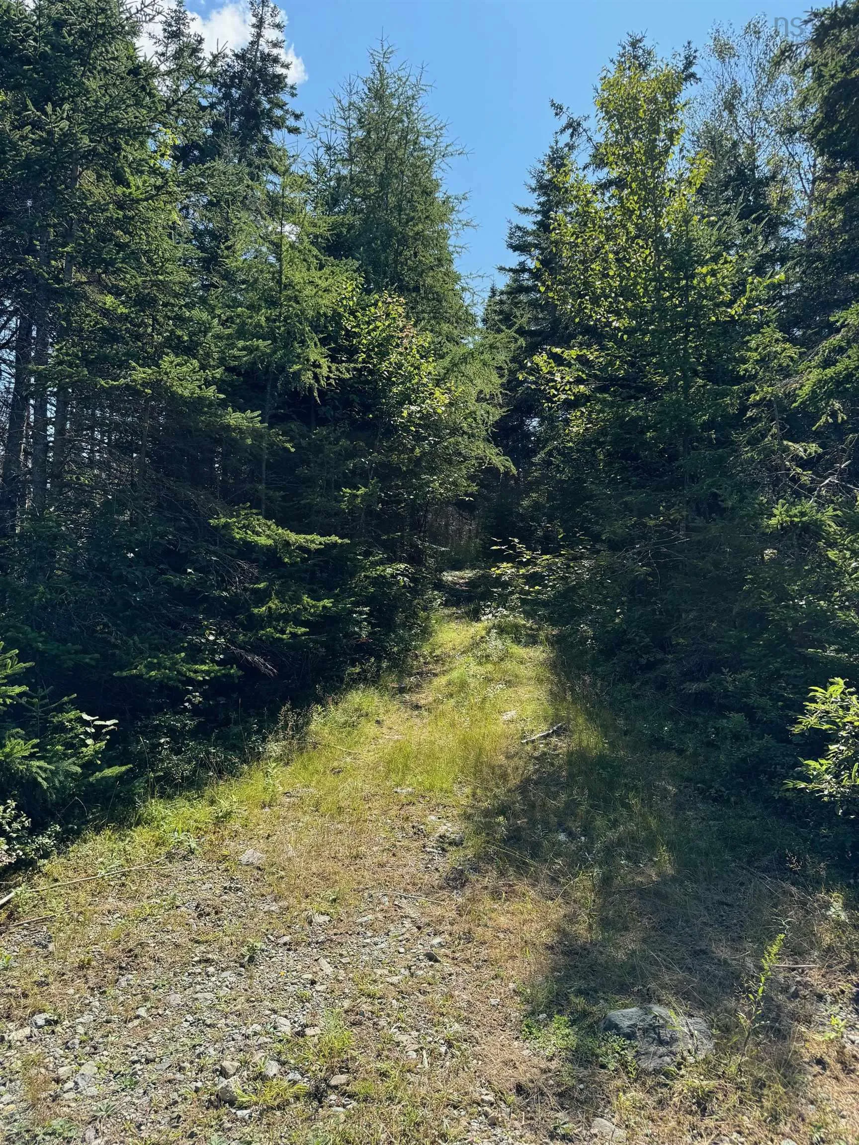 Oceanview Road, French Road Ns B1k 2a2, ,Land,For Sale,Oceanview Road,202423152