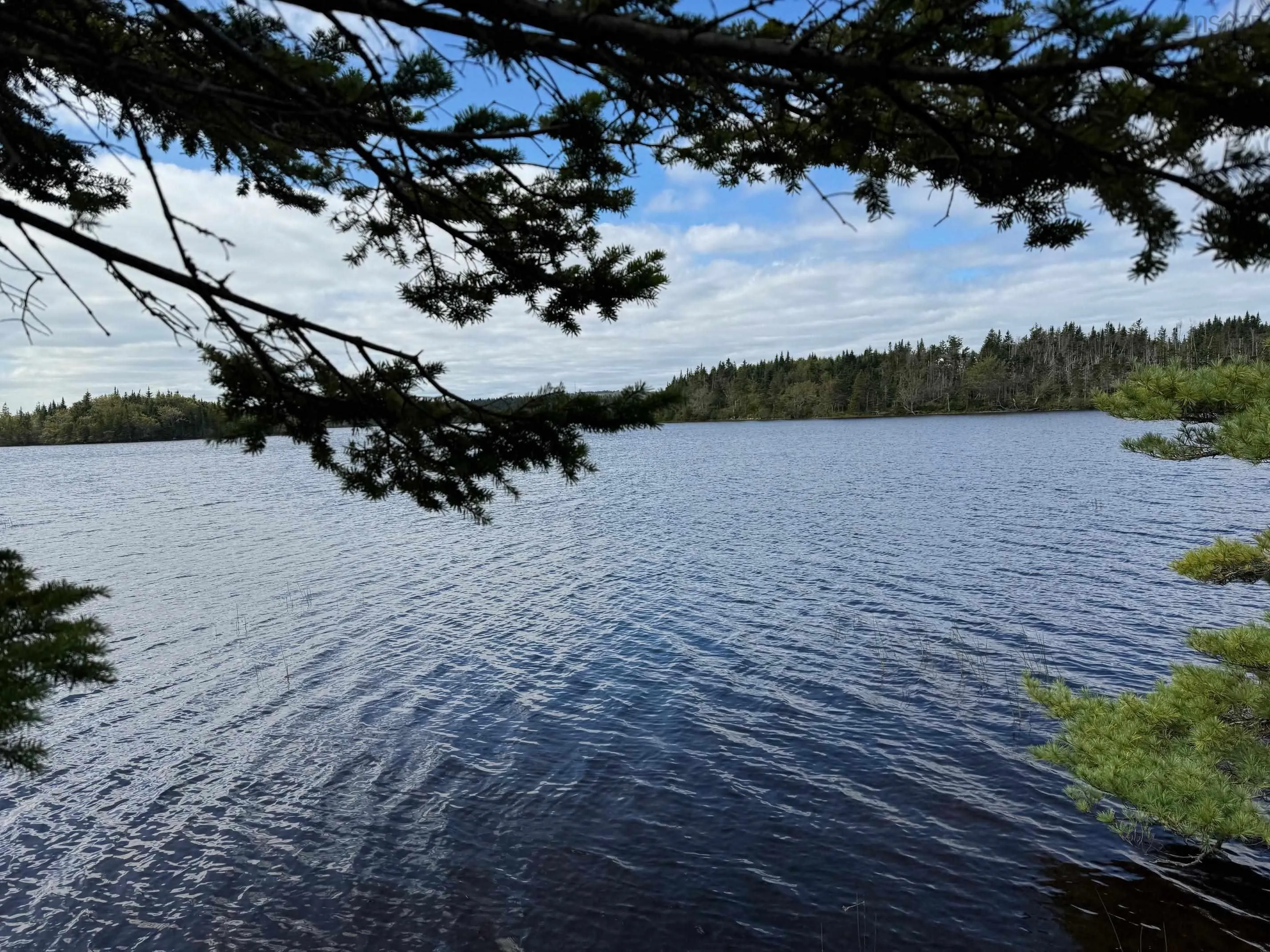 Oceanview Road, French Road Ns B1k 2a2, ,Land,For Sale,Oceanview Road,202423152