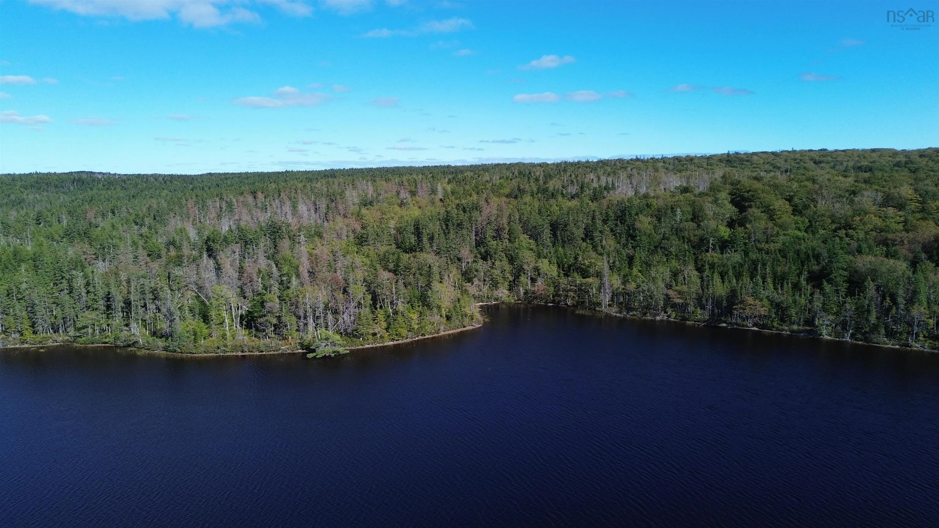 Oceanview Road, French Road Ns B1k 2a2, ,Land,For Sale,Oceanview Road,202423152