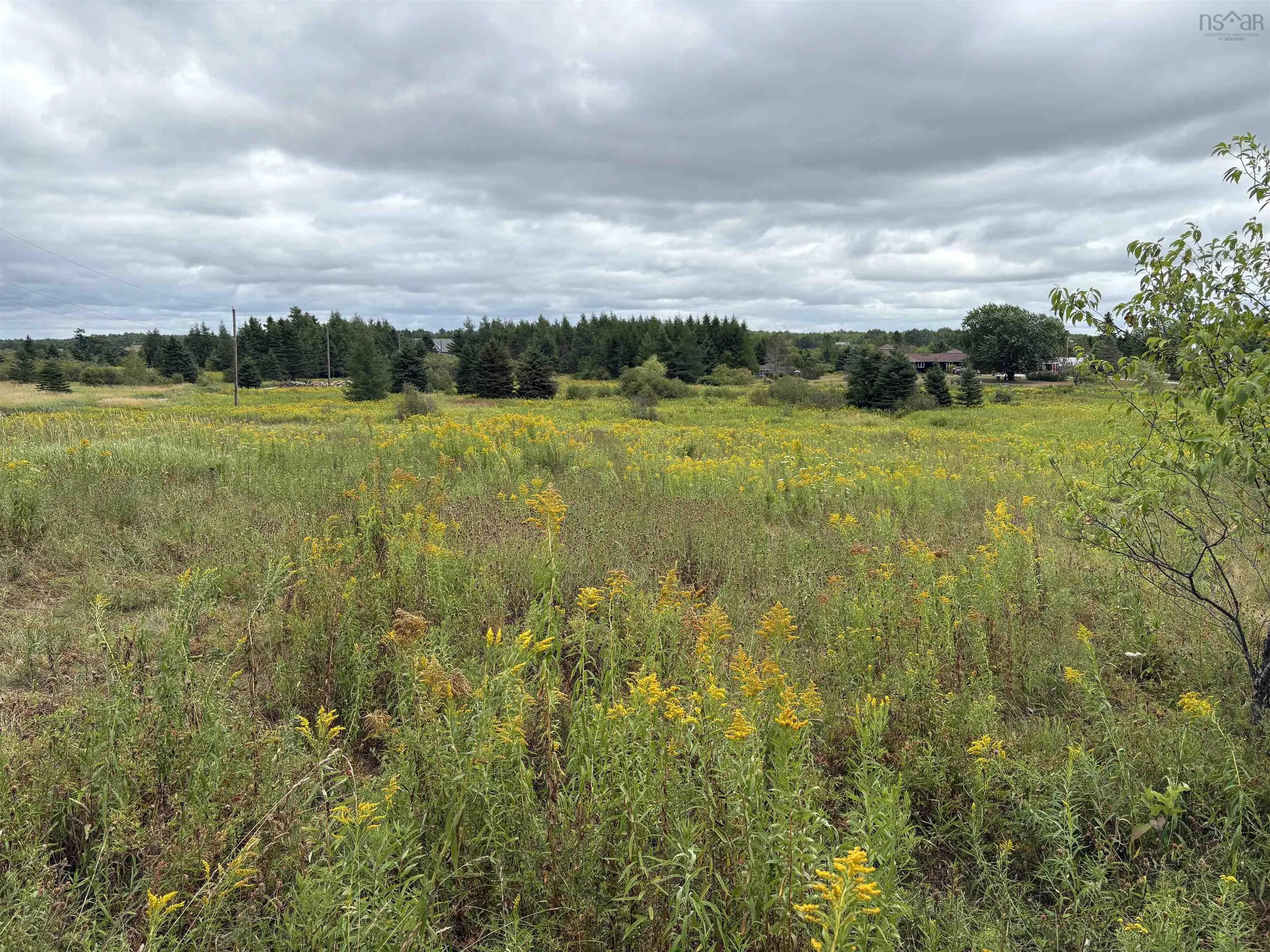 Highway 214 Lot 1, Belnan, NS B2S 2R1, ,Land,For Sale,Highway 214,202520533