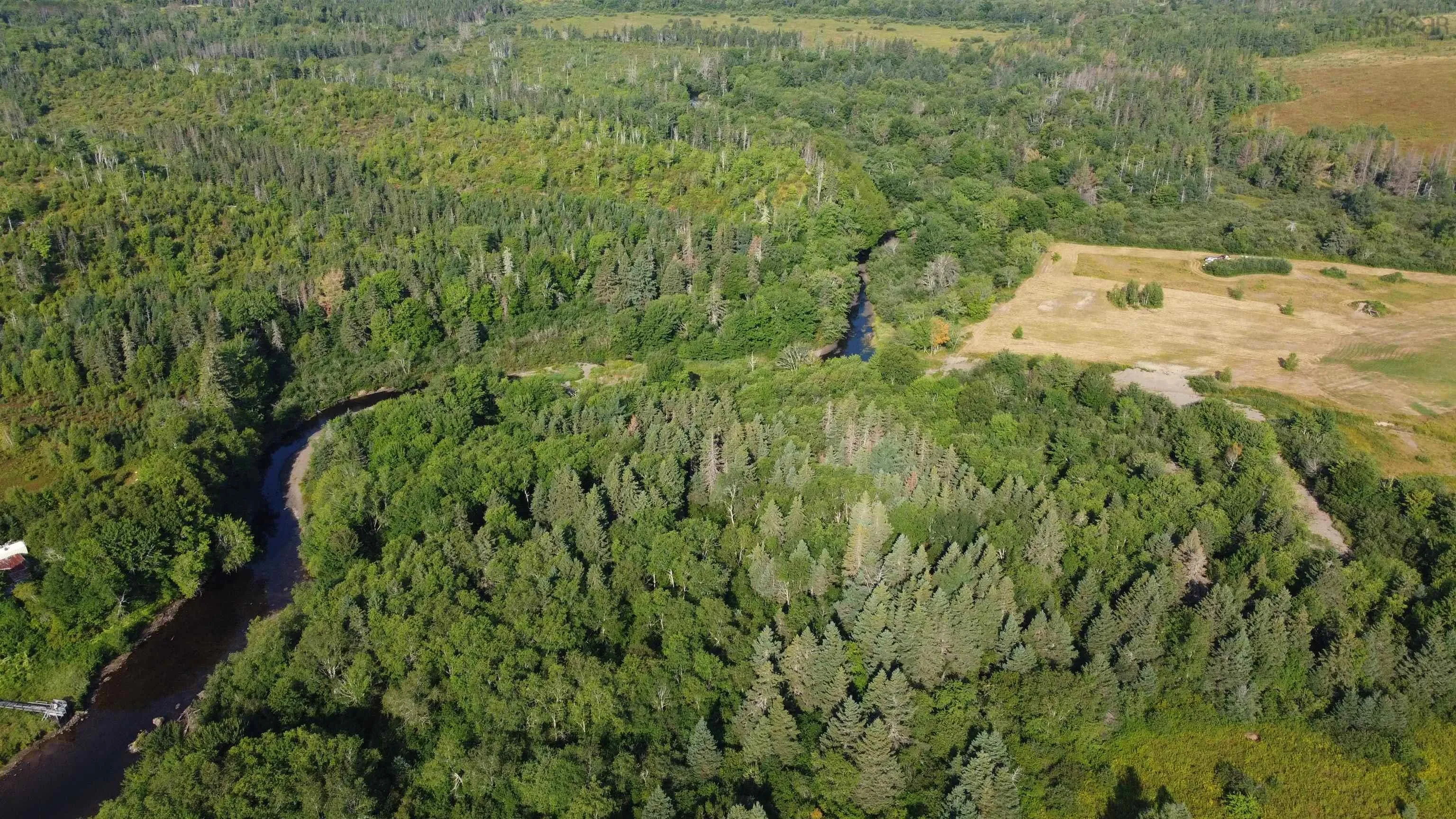 316 No Highway, Cross Roads Country Harbour, NS B0H 1J0, ,Land,For Sale,No,202521127