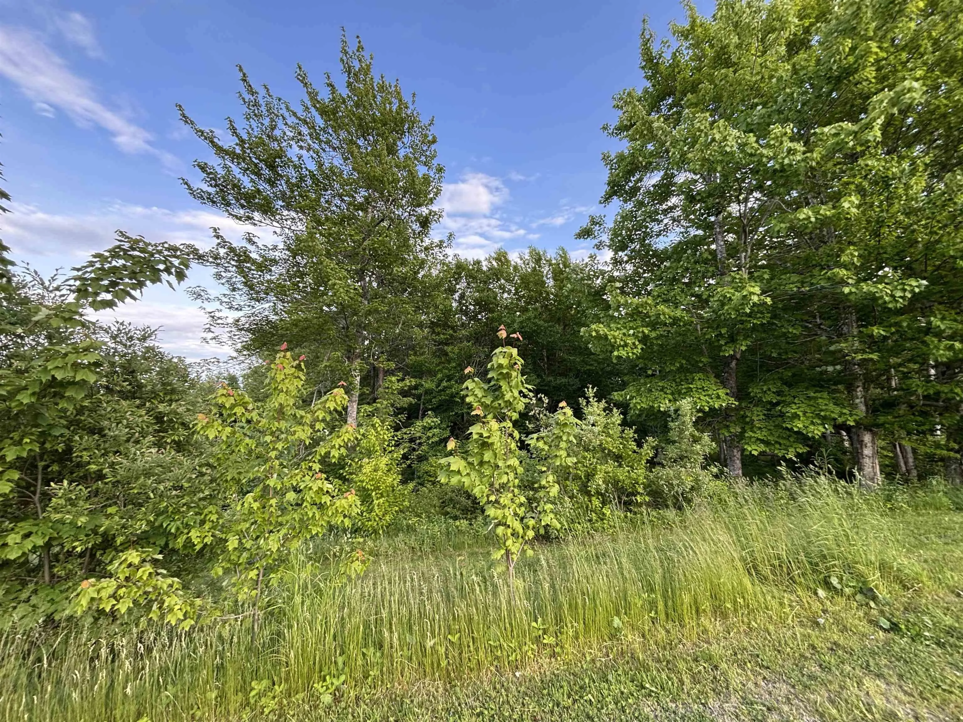 Parkland Place, Dalem Lake, NS B1Y 2X9, ,Land,For Sale,Parkland,202520777