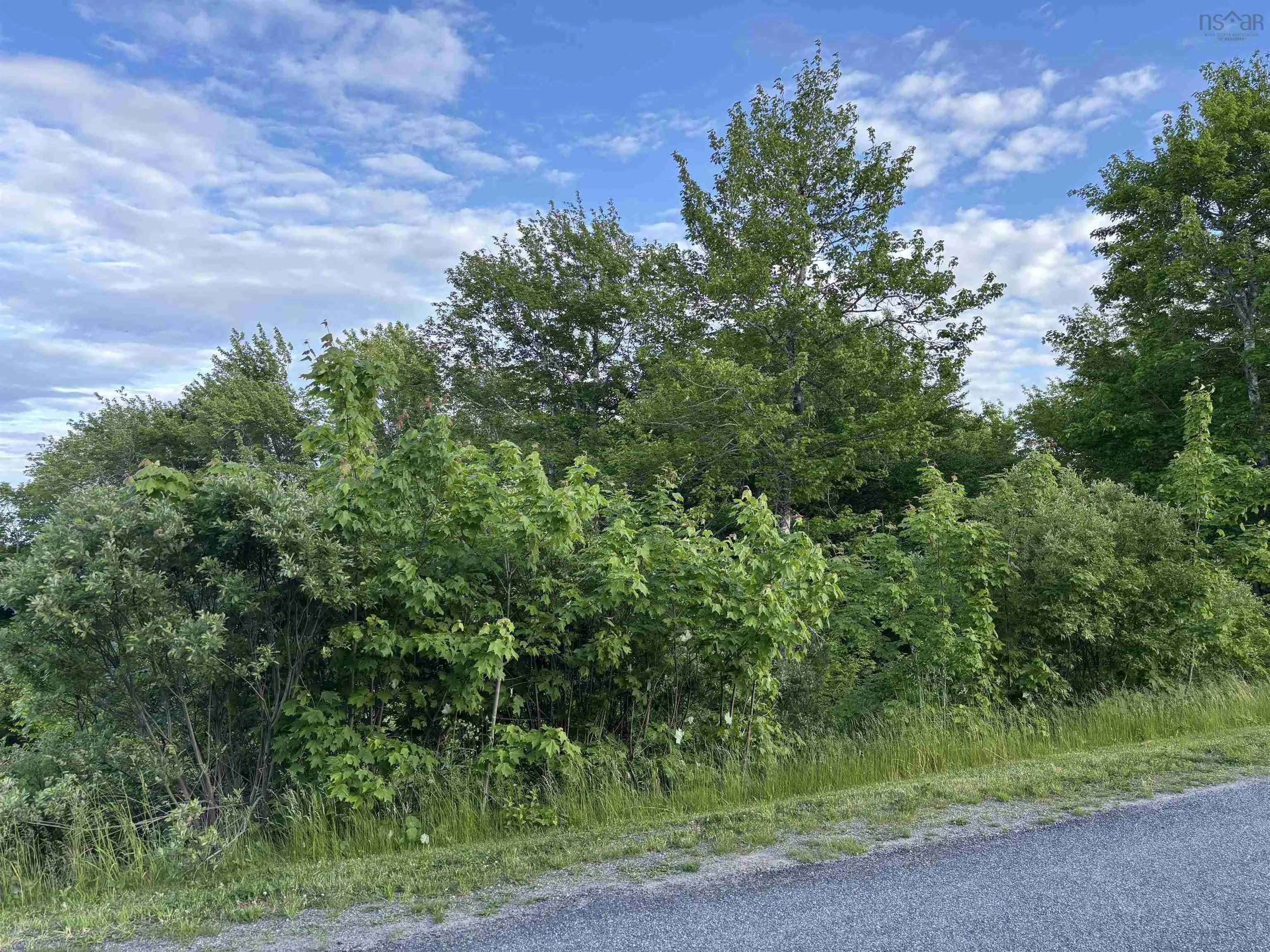 Parkland Place, Dalem Lake, NS B1Y 2X9, ,Land,For Sale,Parkland,202520777
