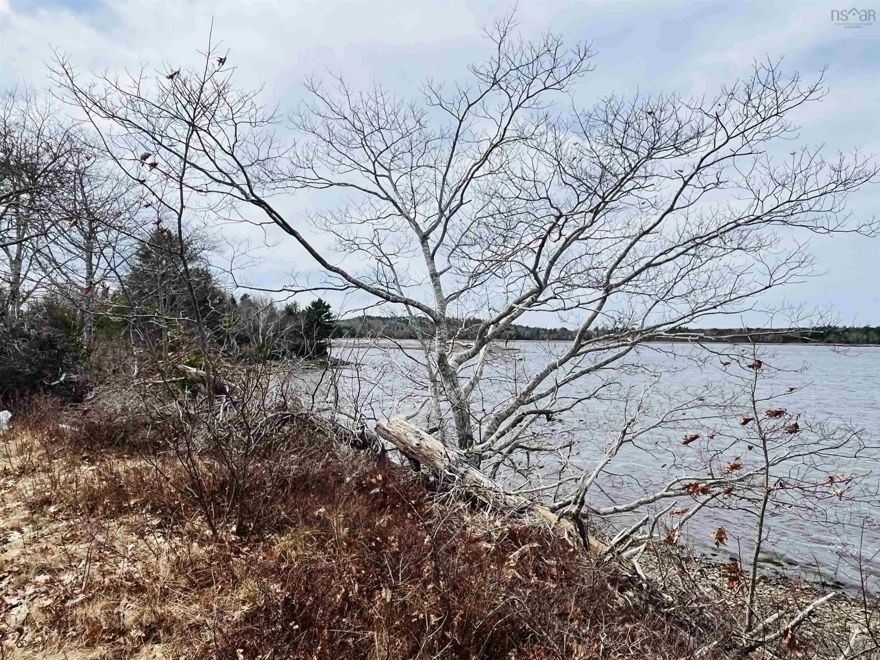 Highway 3, East Jordan Ns B0t 1j0, ,Land,For Sale,Highway 3,202506814