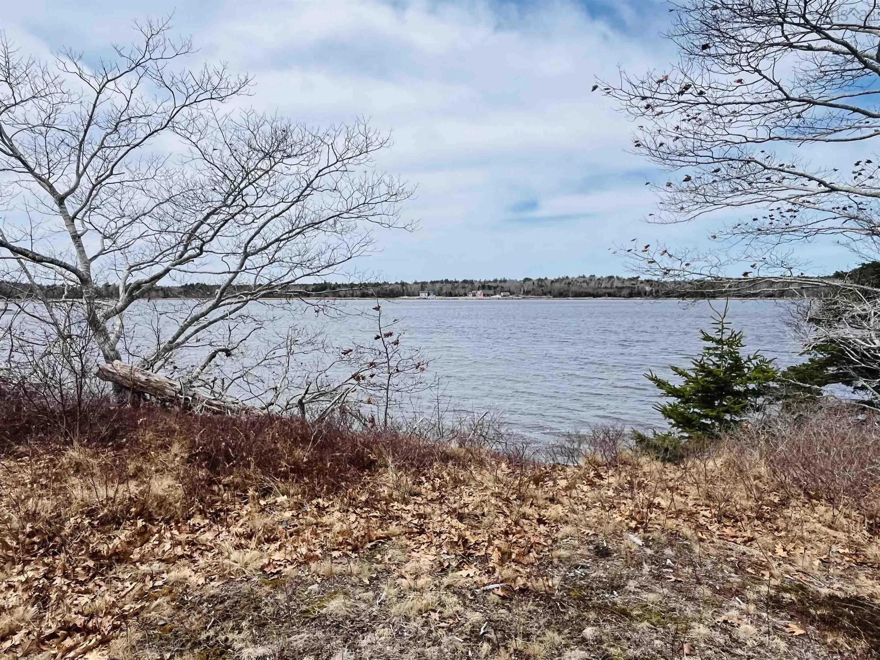 Highway 3, East Jordan Ns B0t 1j0, ,Land,For Sale,Highway 3,202506814