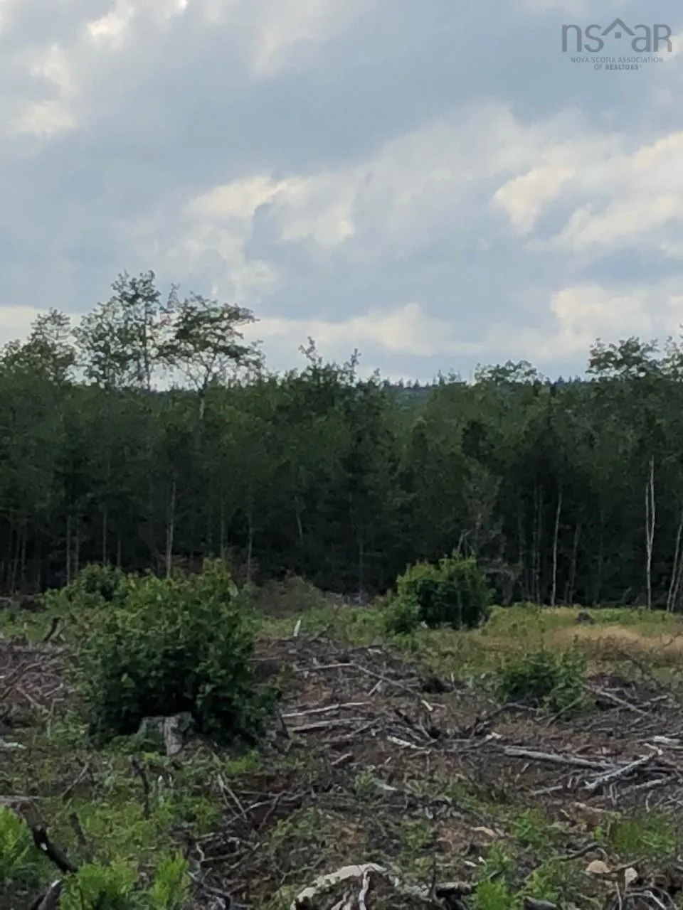 Upper Belmont Road, Belmont Ns B0m 1g0, ,Land,For Sale,Upper Belmont,202427490
