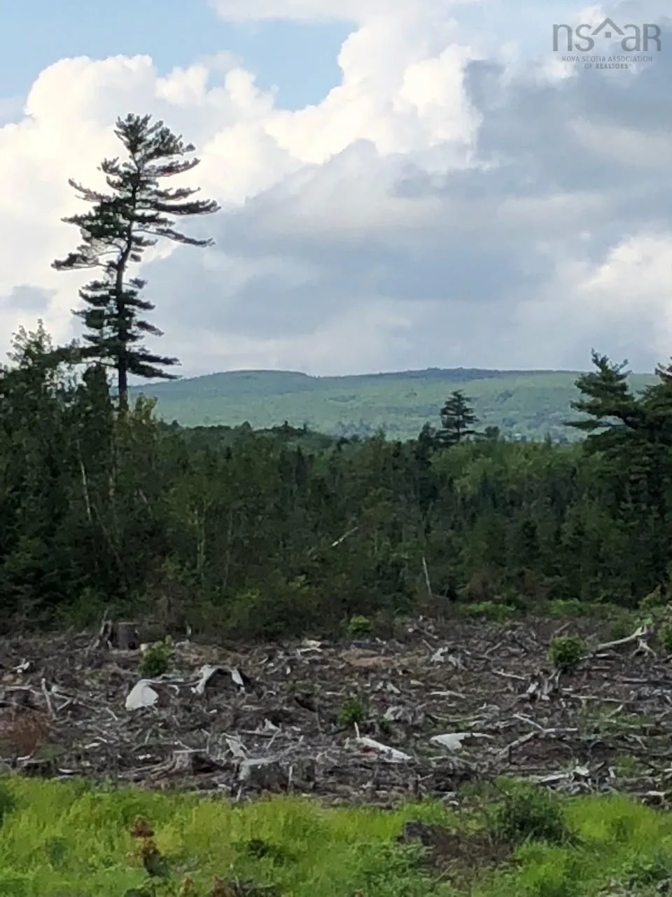 Upper Belmont Road, Belmont Ns B0m 1g0, ,Land,For Sale,Upper Belmont,202427490