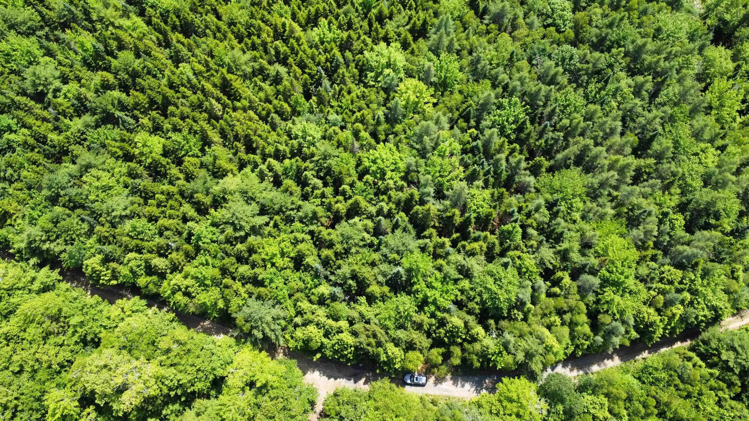 Lot 104 Arenburg Road, Buckfield, NS B4V 8M5, ,Land,For Sale,Arenburg,202516418