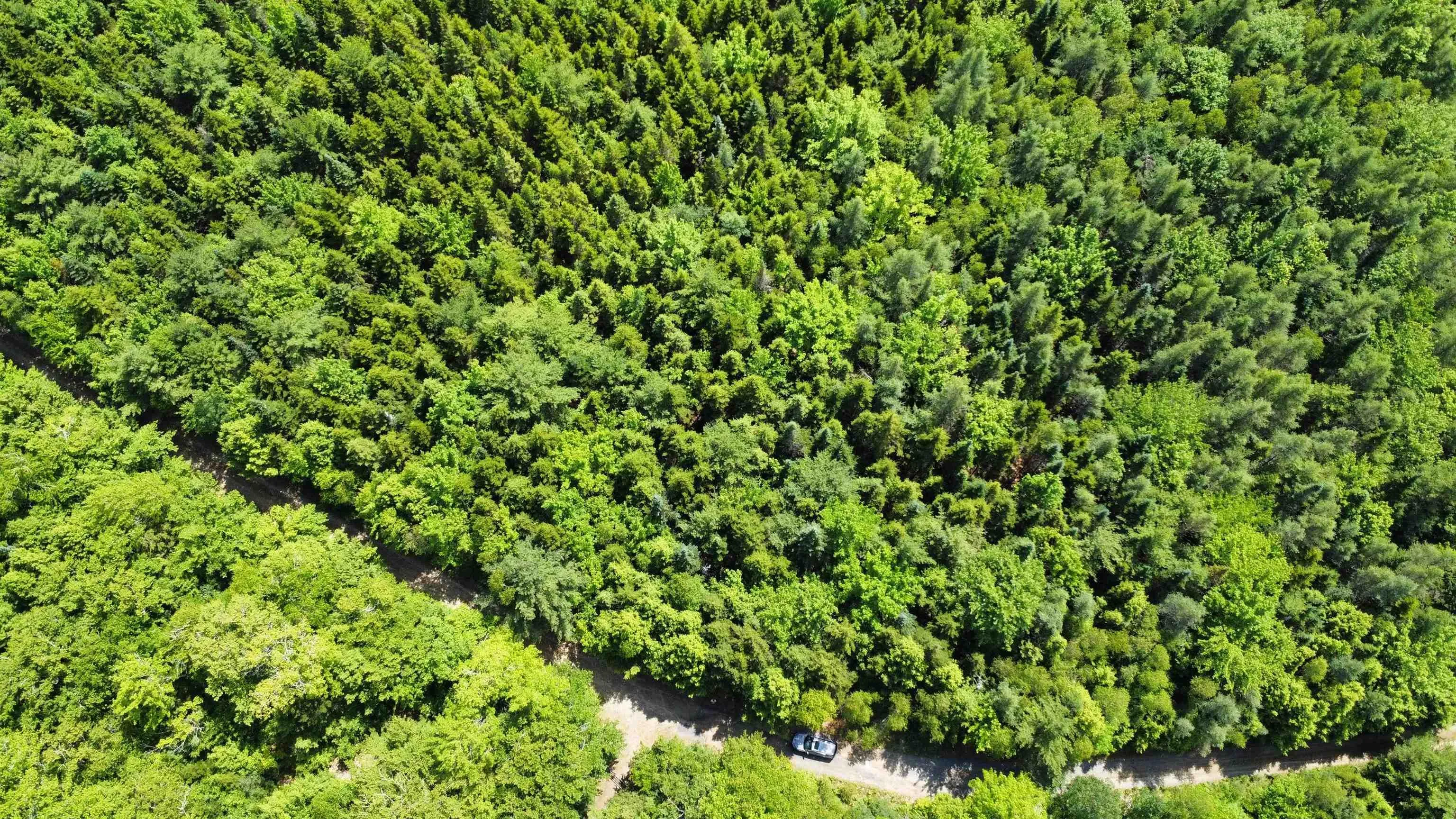 Lot 104 Arenburg Road, Buckfield, NS B4V 8M5, ,Land,For Sale,Arenburg,202516418