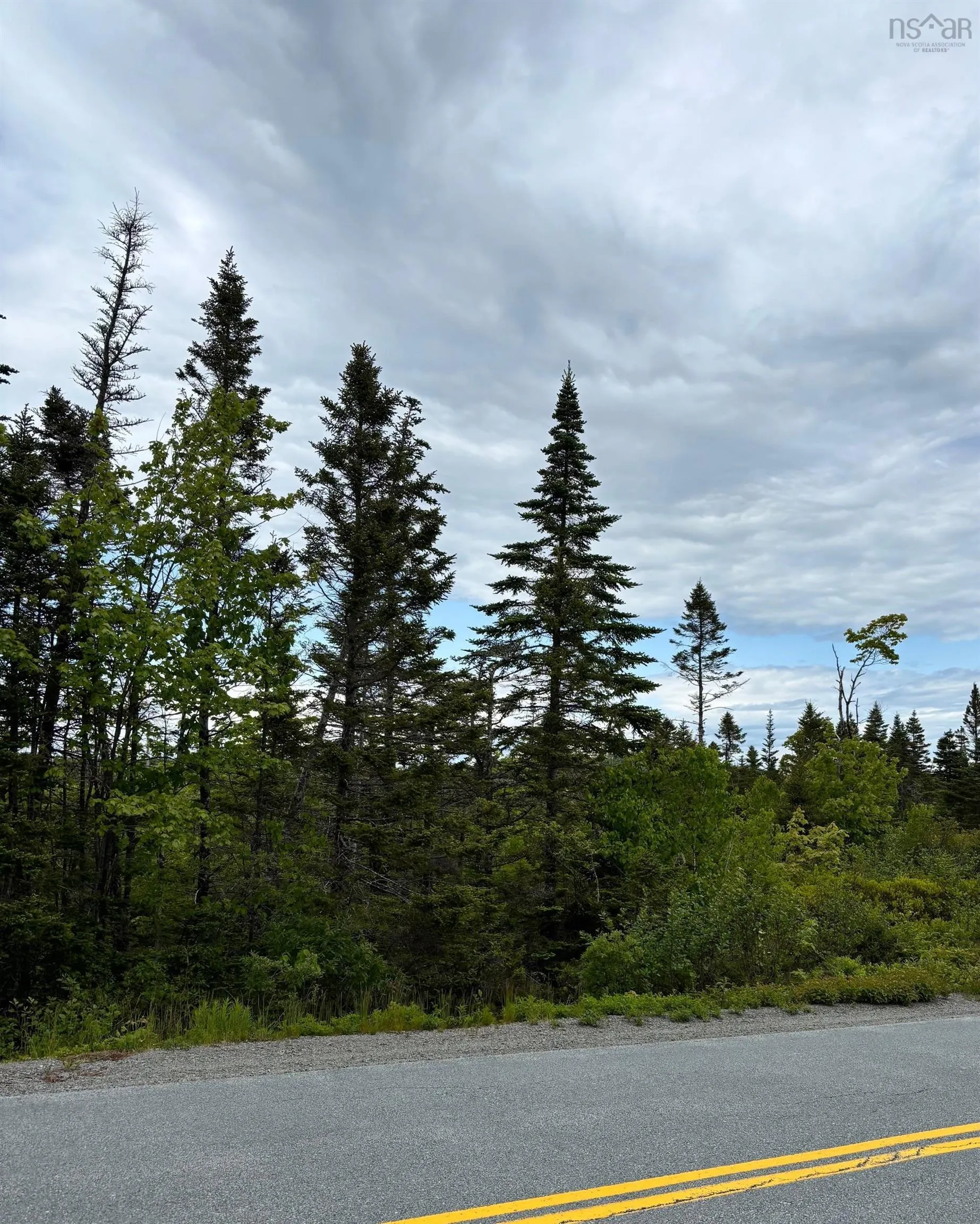 Mooseland Road, Mooseland, NS B0J 3H0, ,Land,For Sale,Mooseland,202513256