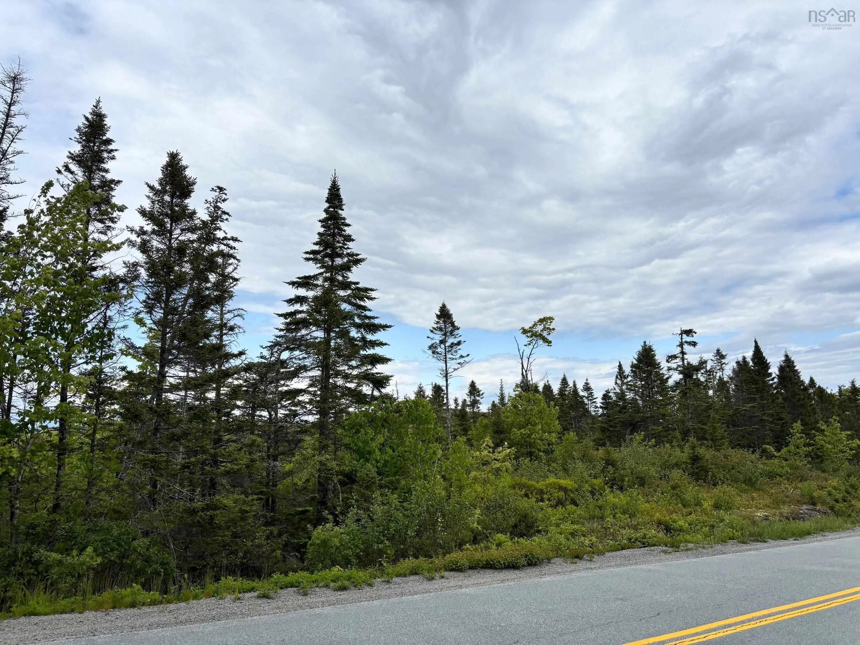 Mooseland Road, Mooseland, NS B0J 3H0, ,Land,For Sale,Mooseland,202513256
