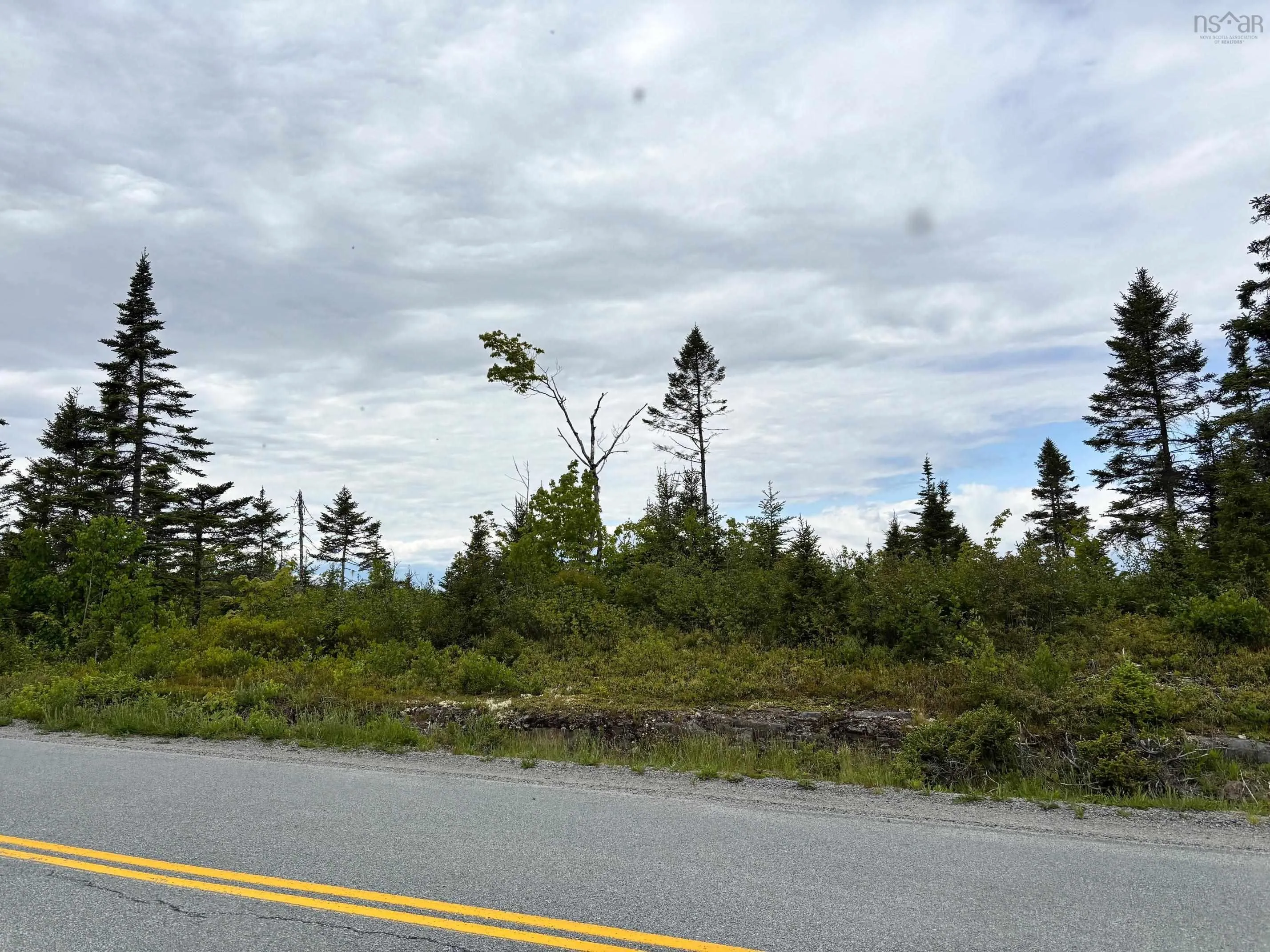 Mooseland Road, Mooseland, NS B0J 3H0, ,Land,For Sale,Mooseland,202513256