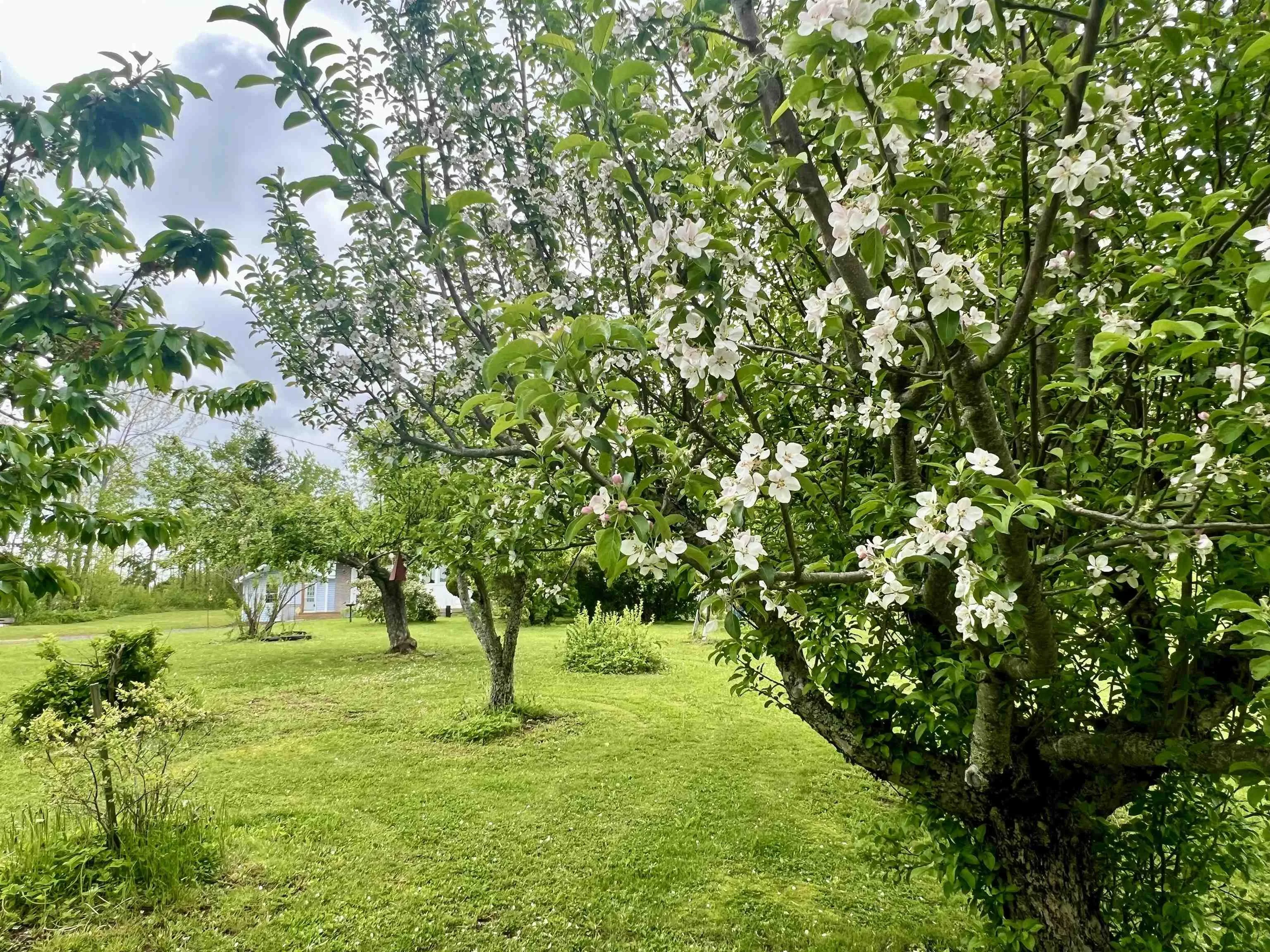 1951 Frasers Mountain Road, Frasers Mountain, NS B2H 5C4, 3 Bedrooms Bedrooms, ,2 BathroomsBathrooms,Residential,For Sale,Frasers Mountain,202511513