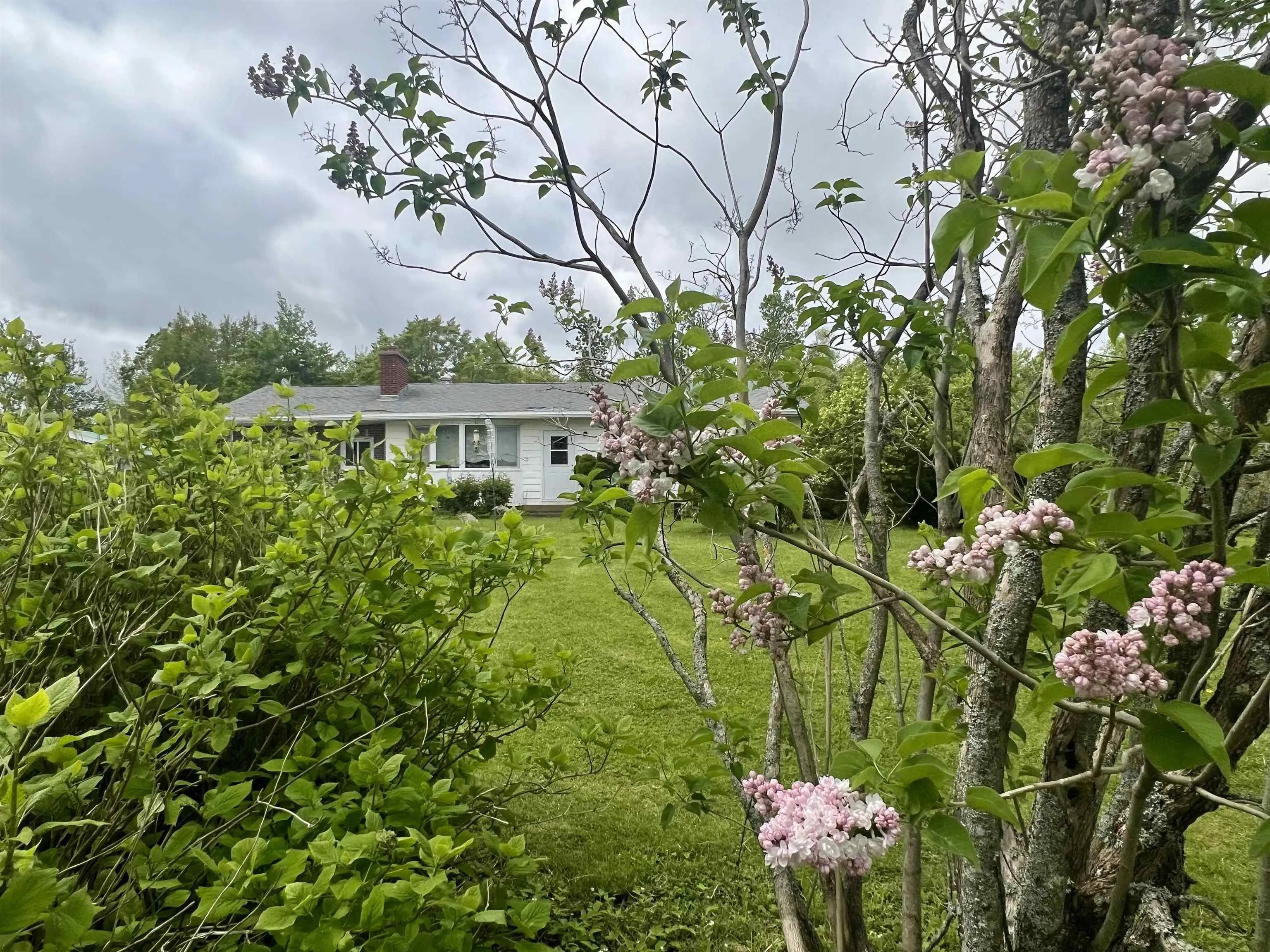 1951 Frasers Mountain Road, Frasers Mountain, NS B2H 5C4, 3 Bedrooms Bedrooms, ,2 BathroomsBathrooms,Residential,For Sale,Frasers Mountain,202511513